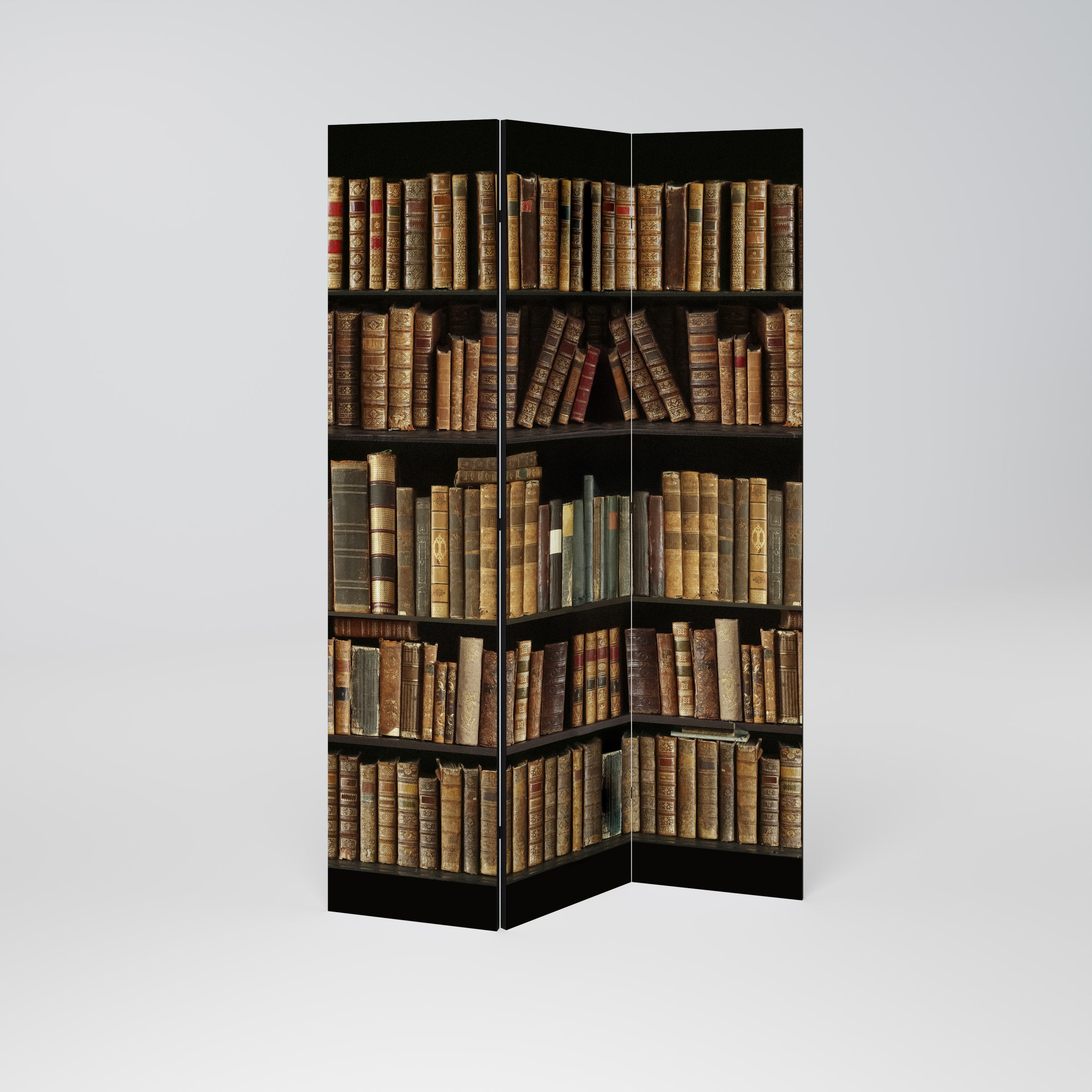 SHELVES OF TIME Dekoracyjny parawan 3-skrzydłowy