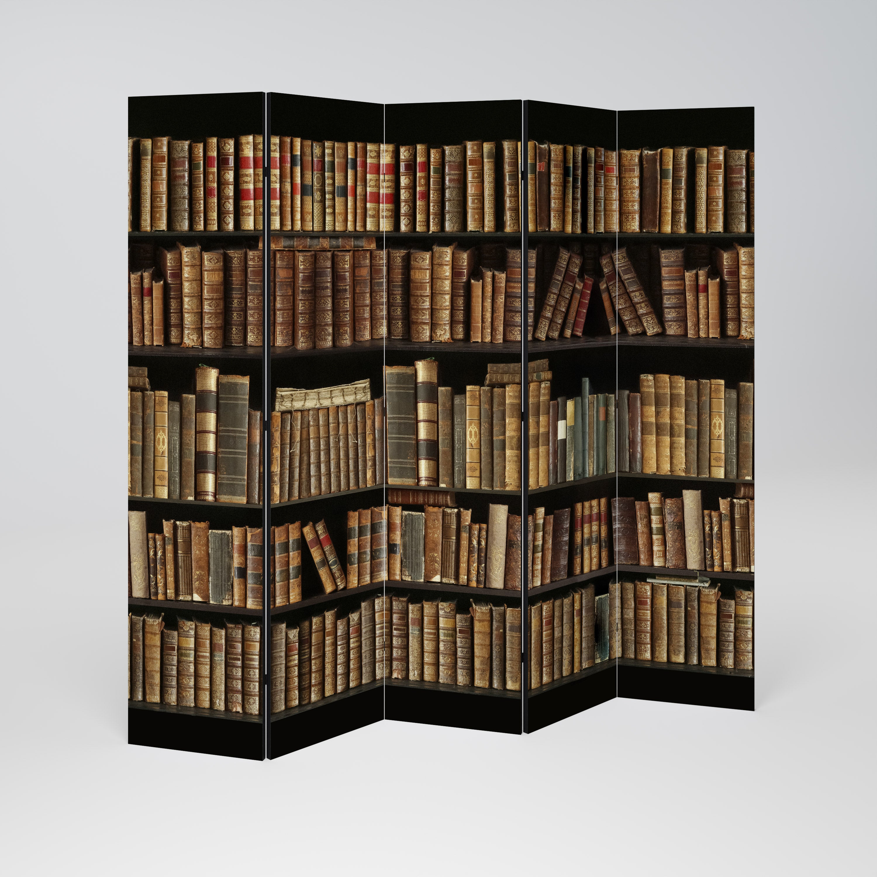 SHELVES OF TIME Dekoracyjny parawan 5-skrzydłowy