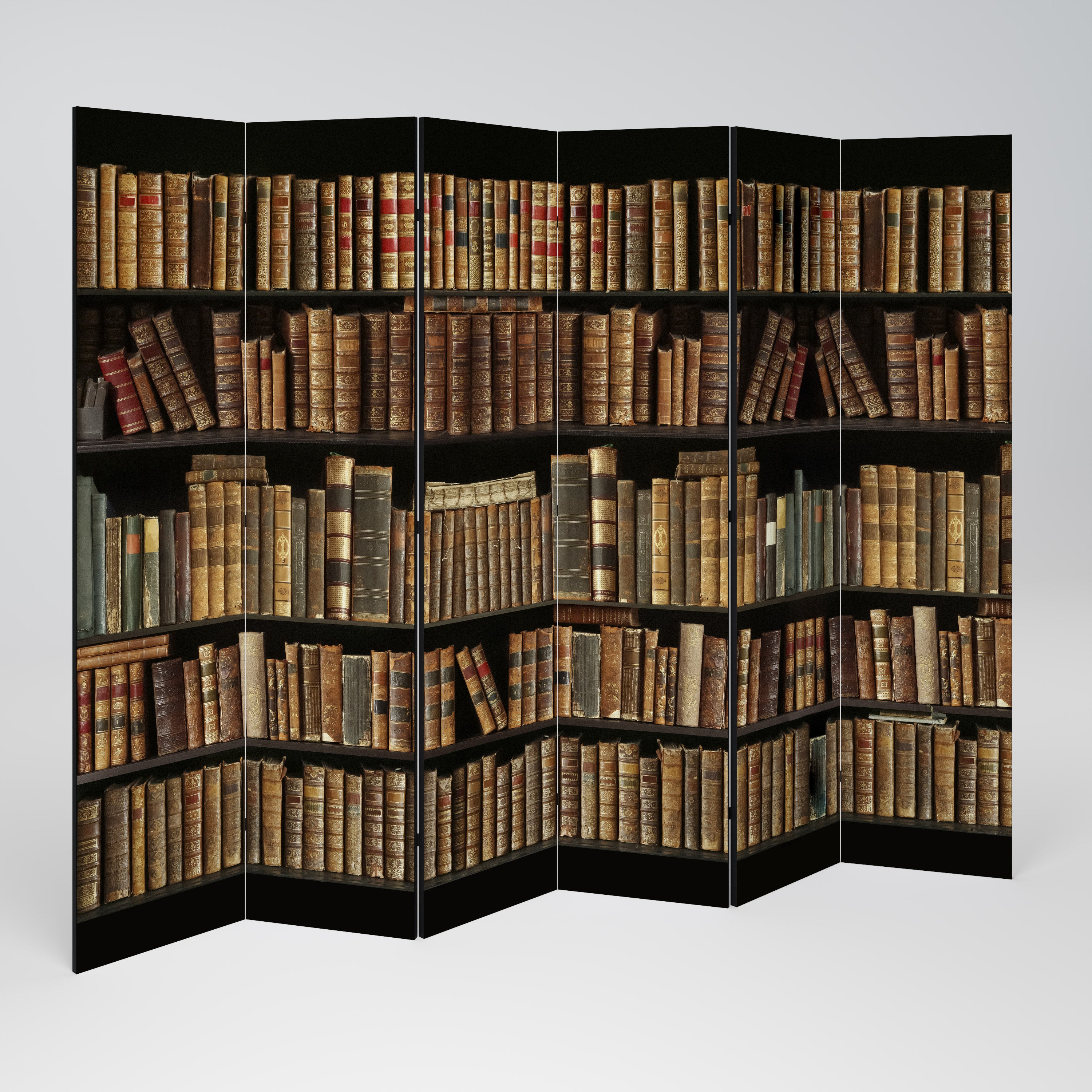 SHELVES OF TIME Dekoracyjny parawan 6-skrzydłowy