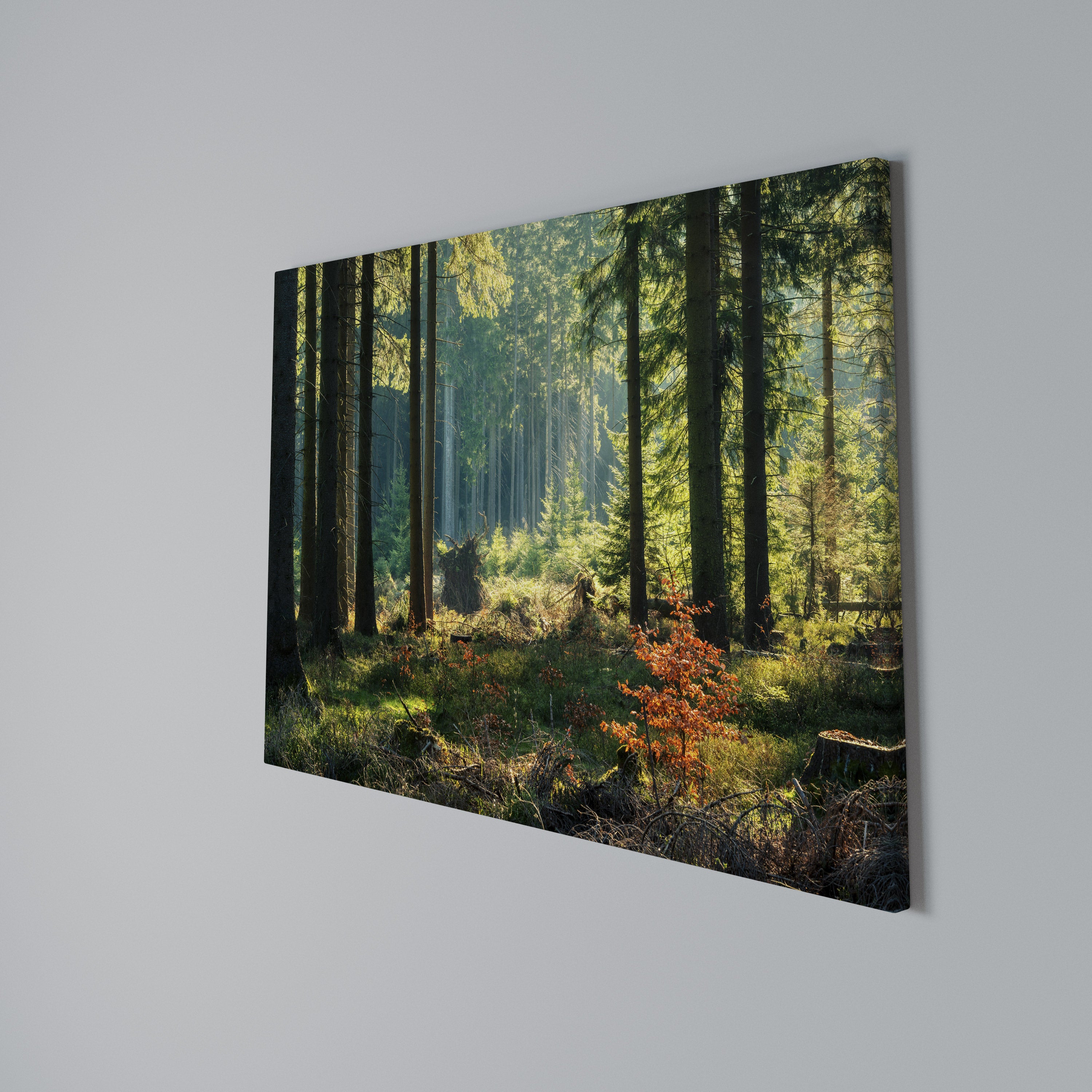 SUNLIT FOREST SERENADE Poziomy obraz na płótnie