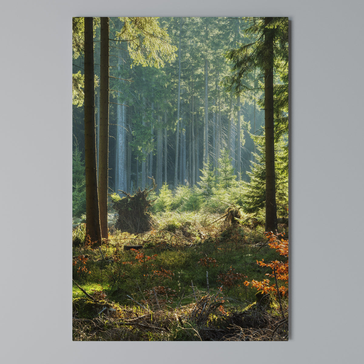 SUNLIT FOREST SERENADE Pionowy obraz na płótnie