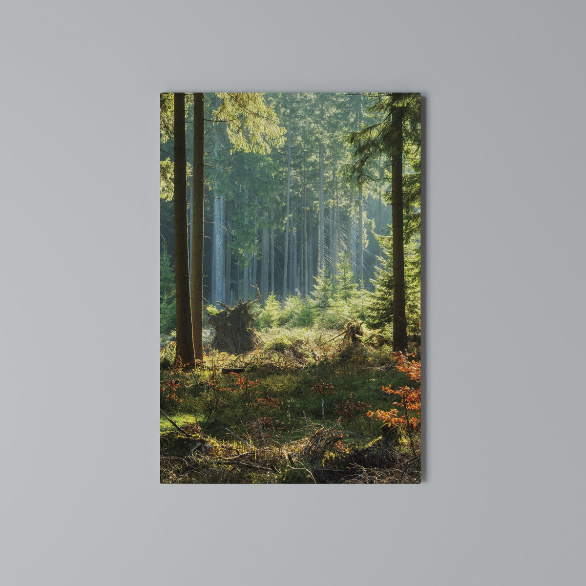 SUNLIT FOREST SERENADE Pionowy obraz na płótnie