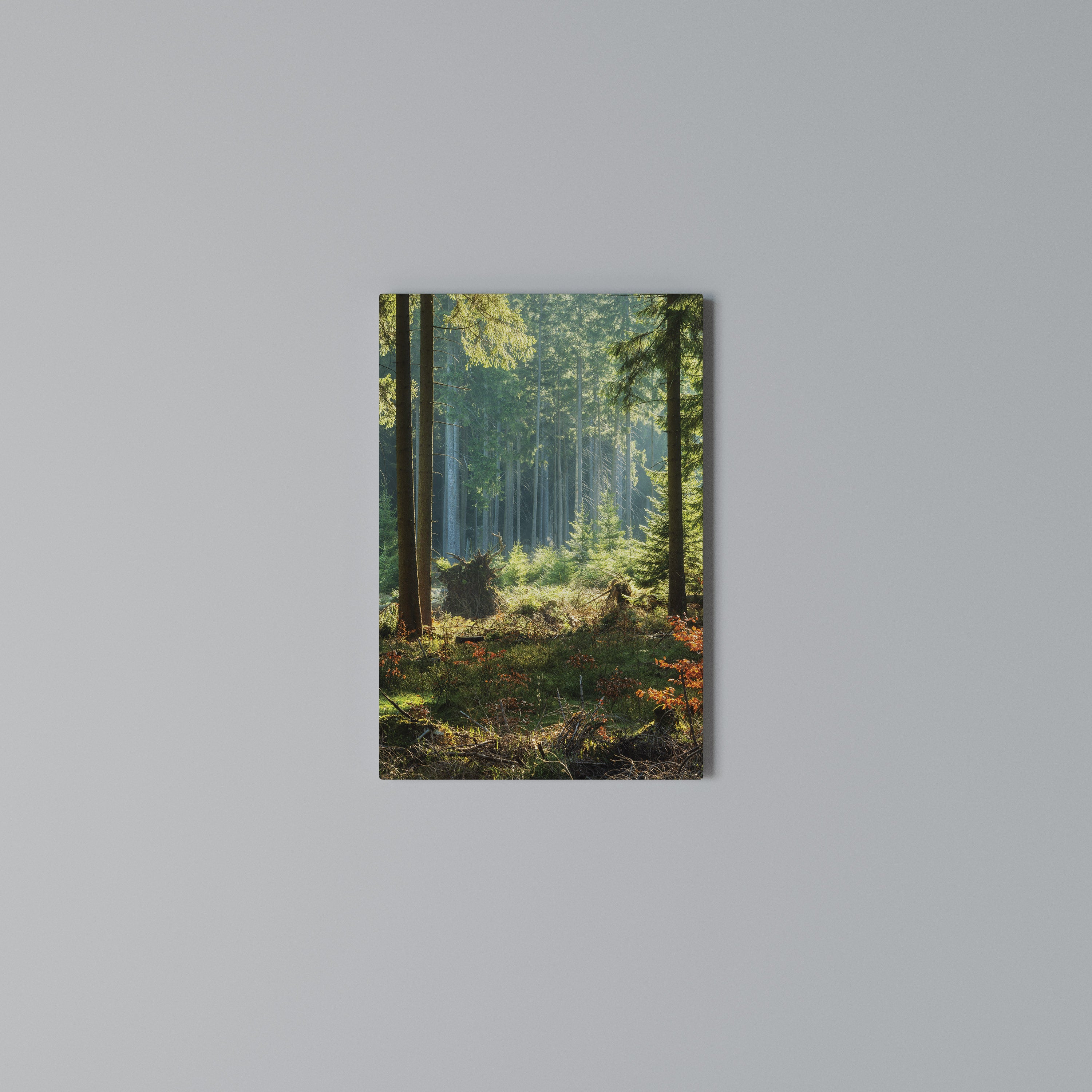 SUNLIT FOREST SERENADE Pionowy obraz na płótnie