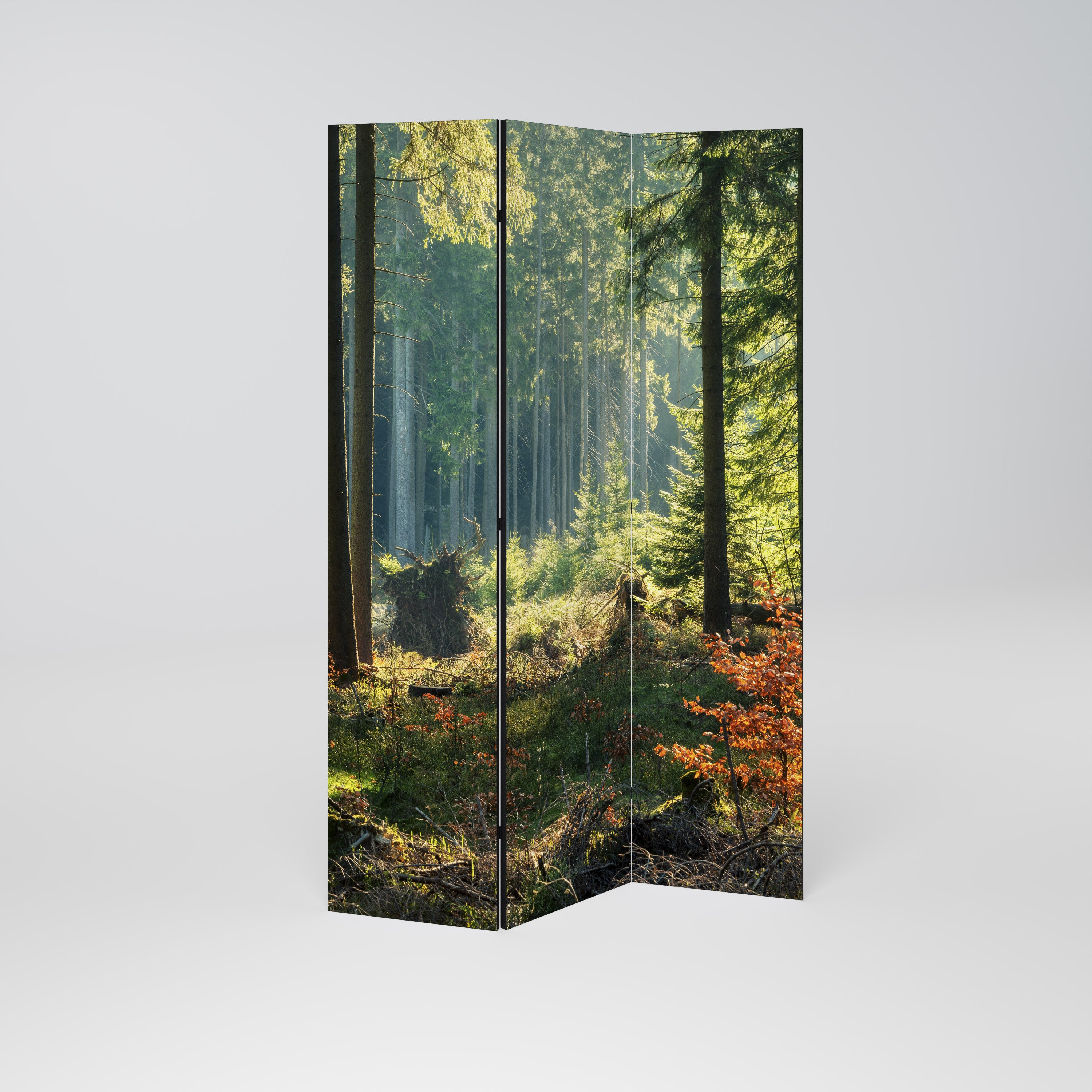 SUNLIT FOREST SERENADE Dekoracyjny parawan 3-skrzydłowy