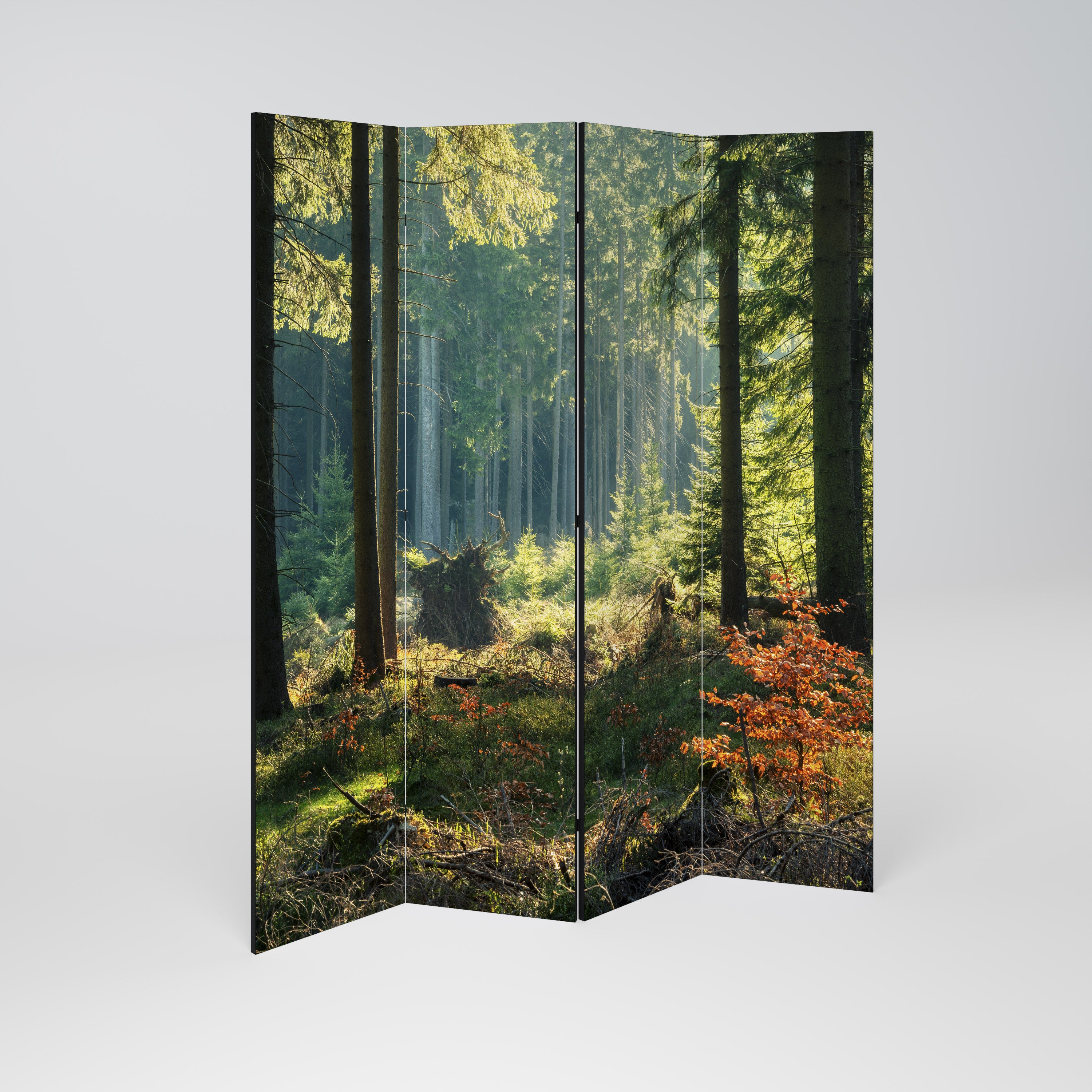 SUNLIT FOREST SERENADE Dekoracyjny parawan 4-skrzydłowy