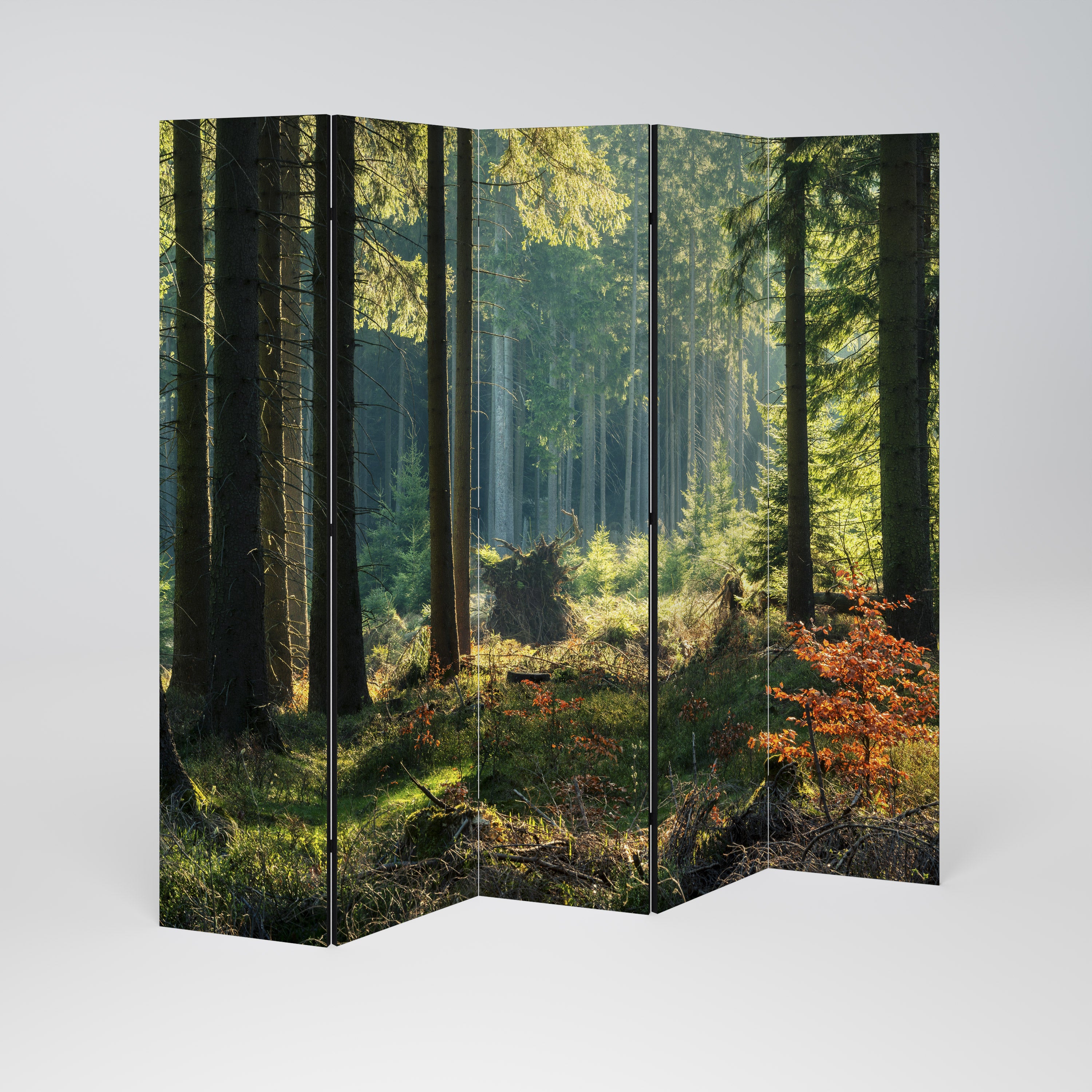 SUNLIT FOREST SERENADE Dekoracyjny parawan 5-skrzydłowy