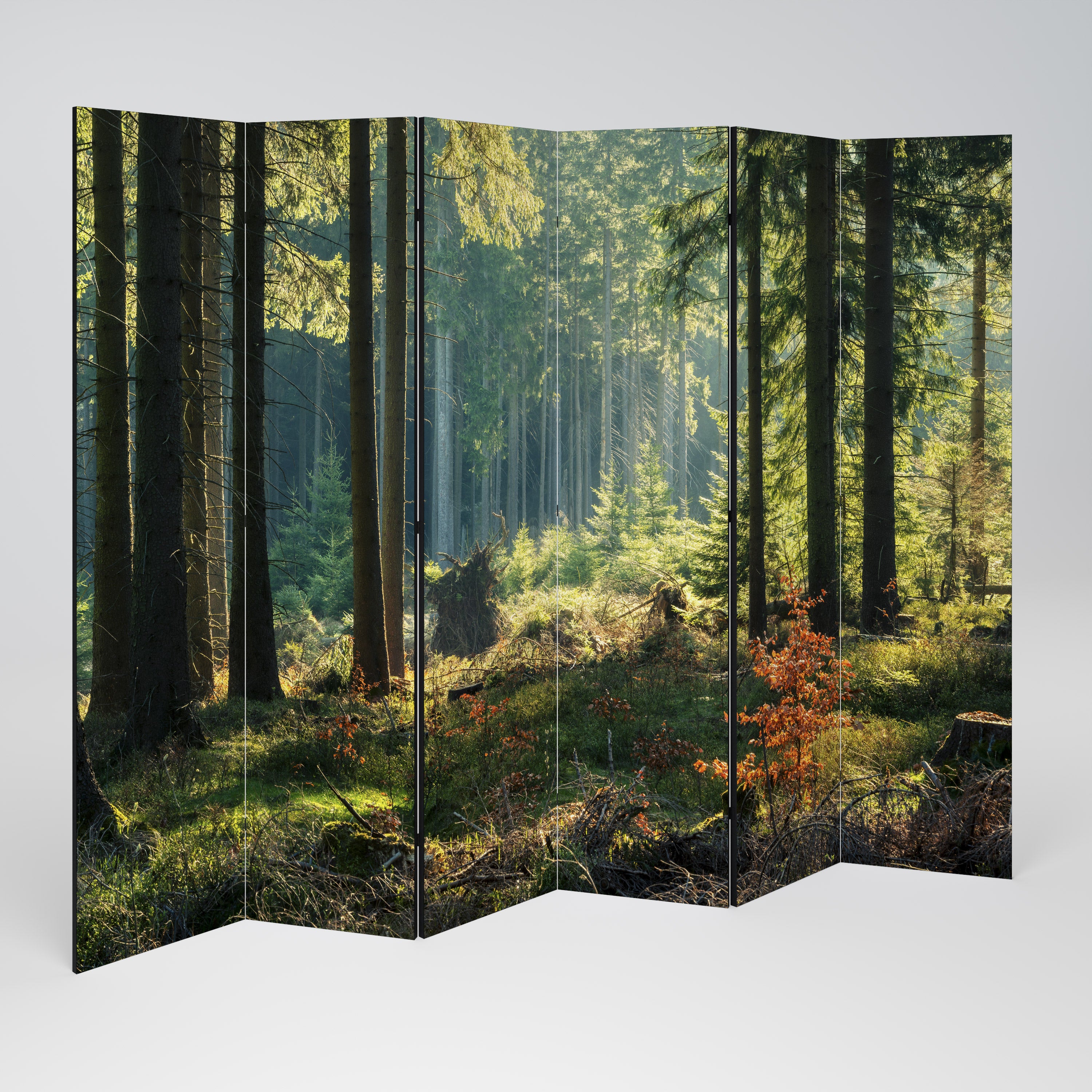 SUNLIT FOREST SERENADE Dekoracyjny parawan 6-skrzydłowy