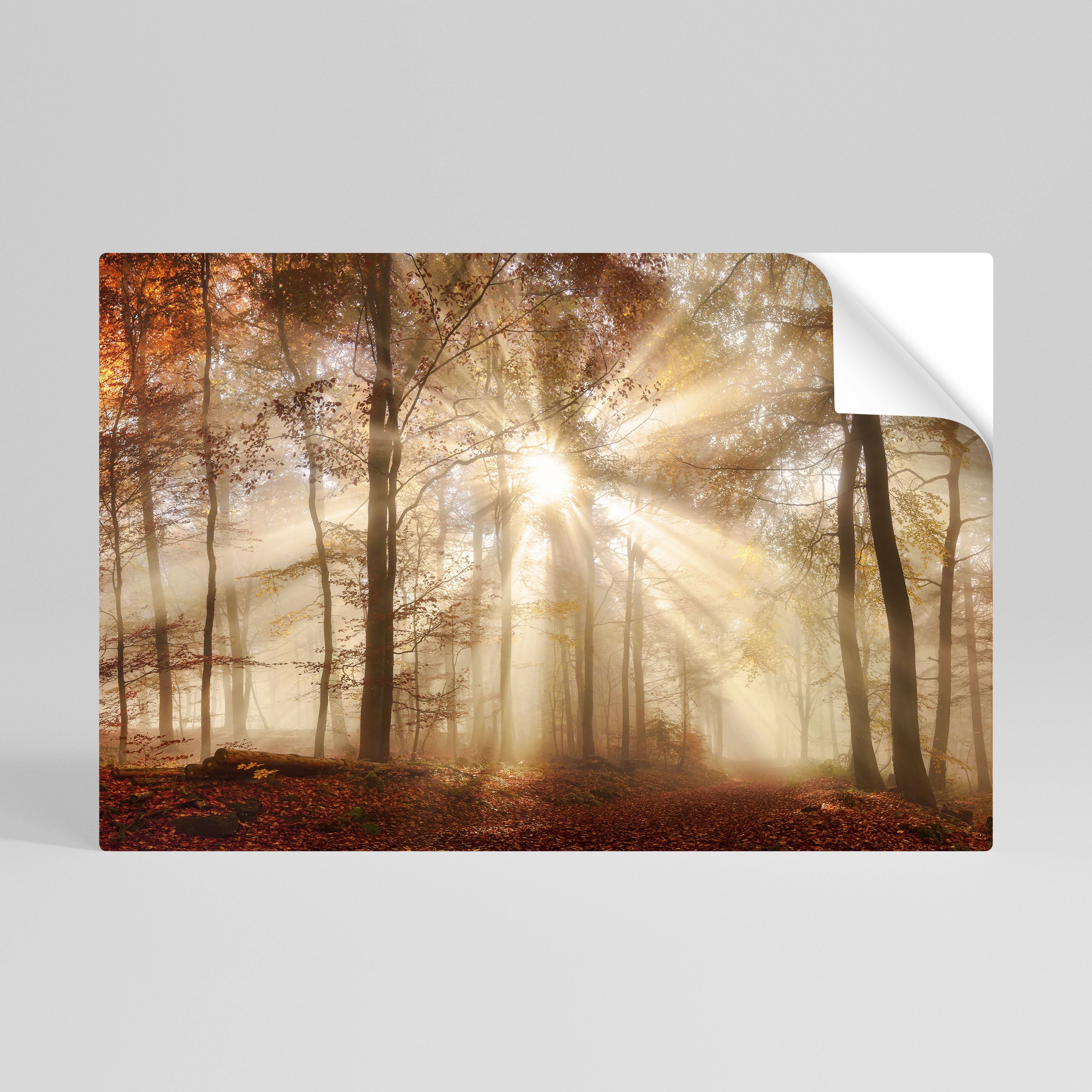 WHISPERS OF AUTUMN Naklejka/Plakat poziomy