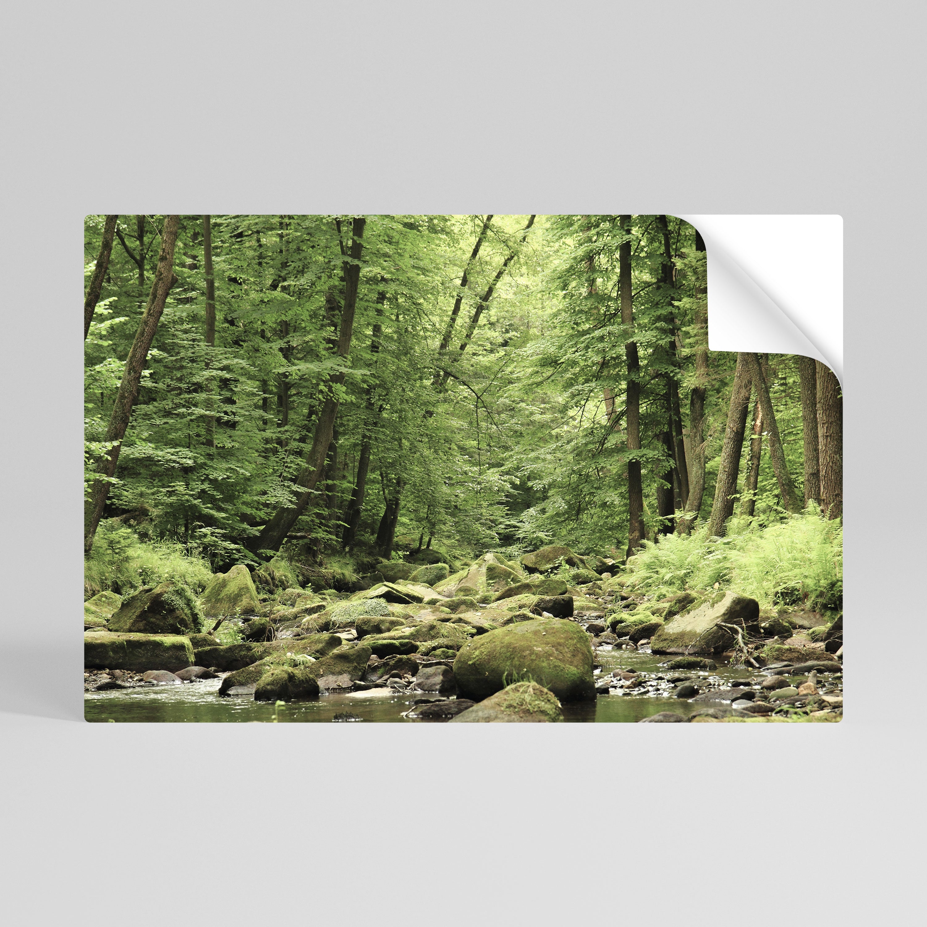 TRANQUIL STONES AND STREAMS Naklejka/Plakat poziomy