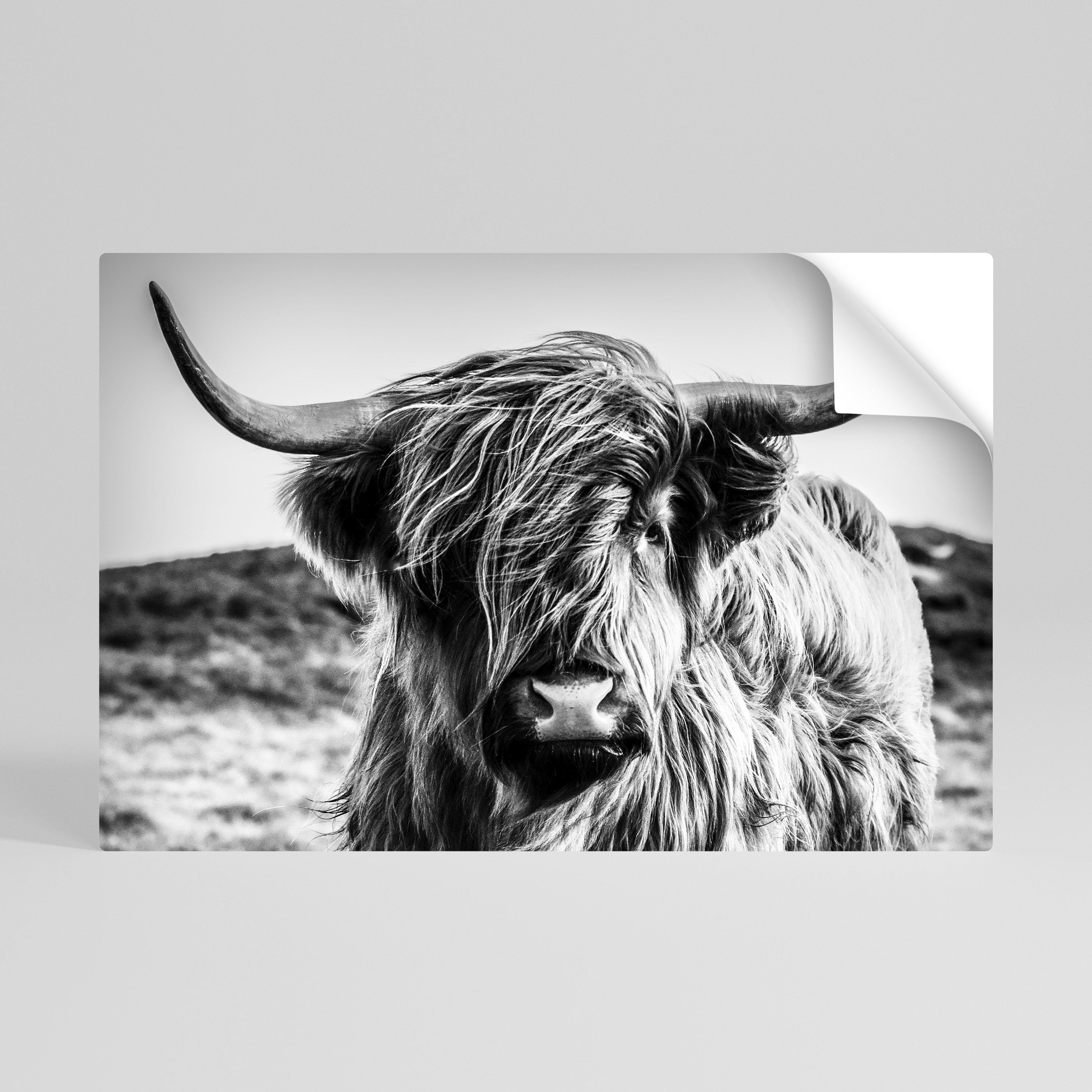 WILD SPIRIT REFLECTED Naklejka/Plakat poziomy