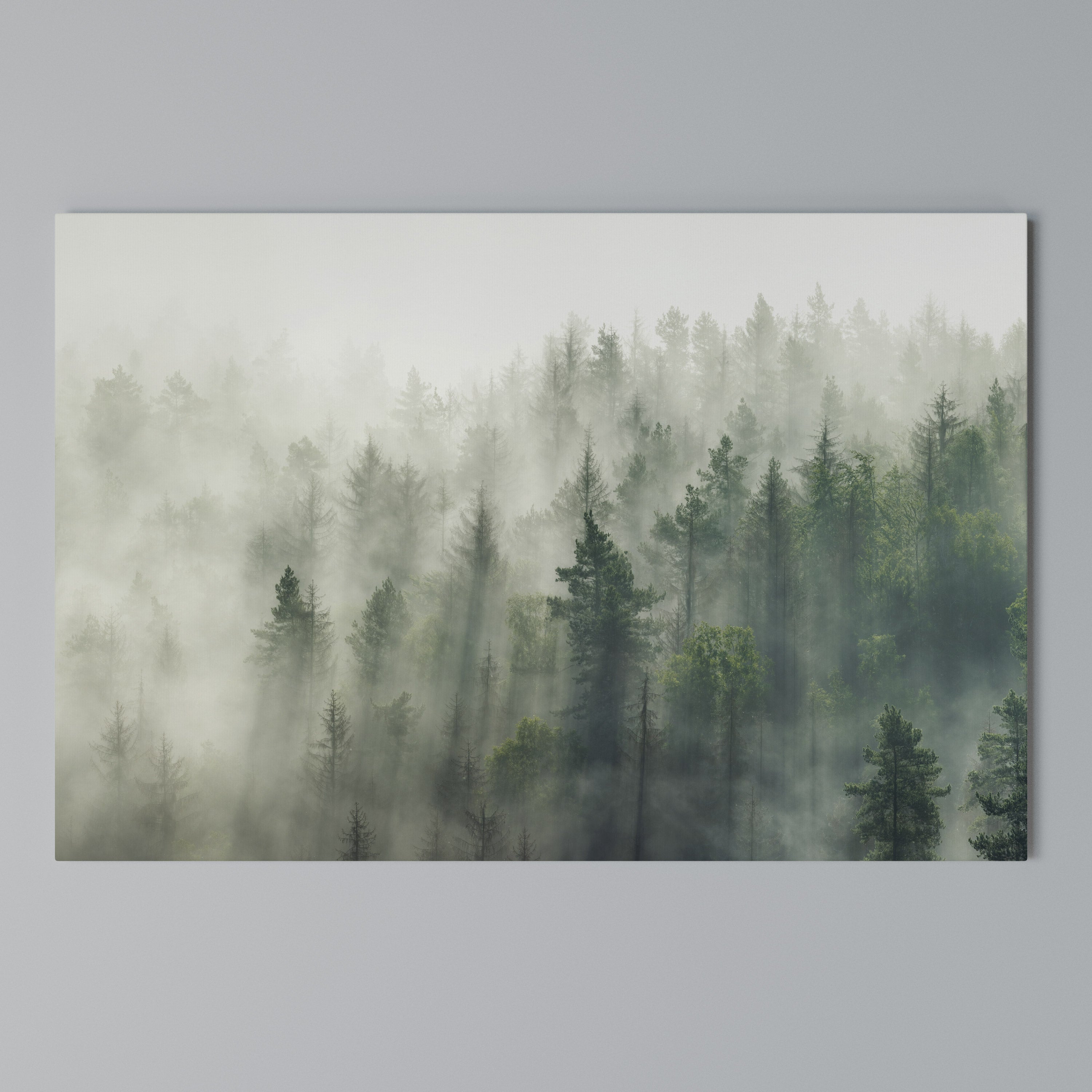 MISTY FOREST Poziomy obraz na płótnie