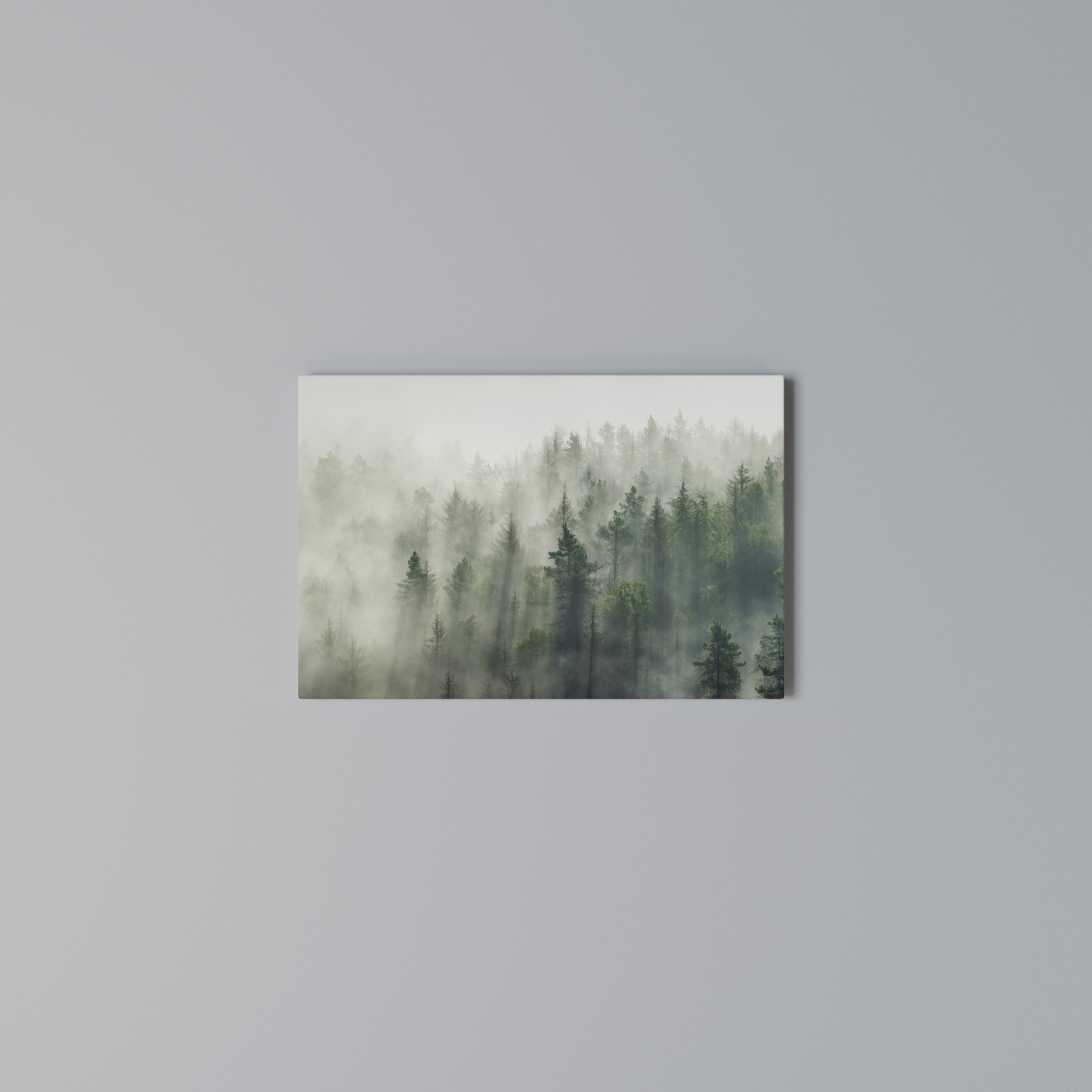 MISTY FOREST Poziomy obraz na płótnie