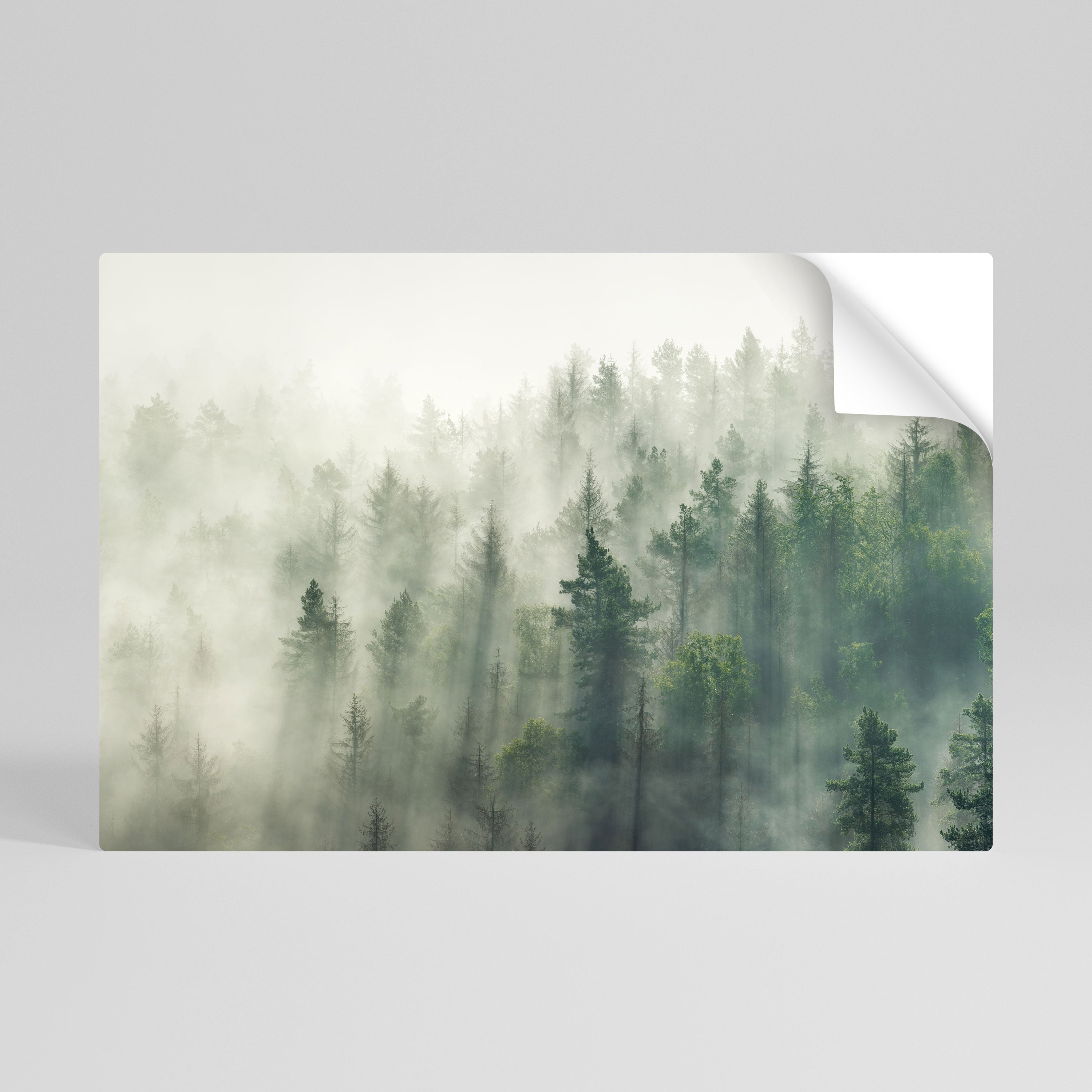 MISTY FOREST Naklejka/Plakat poziomy