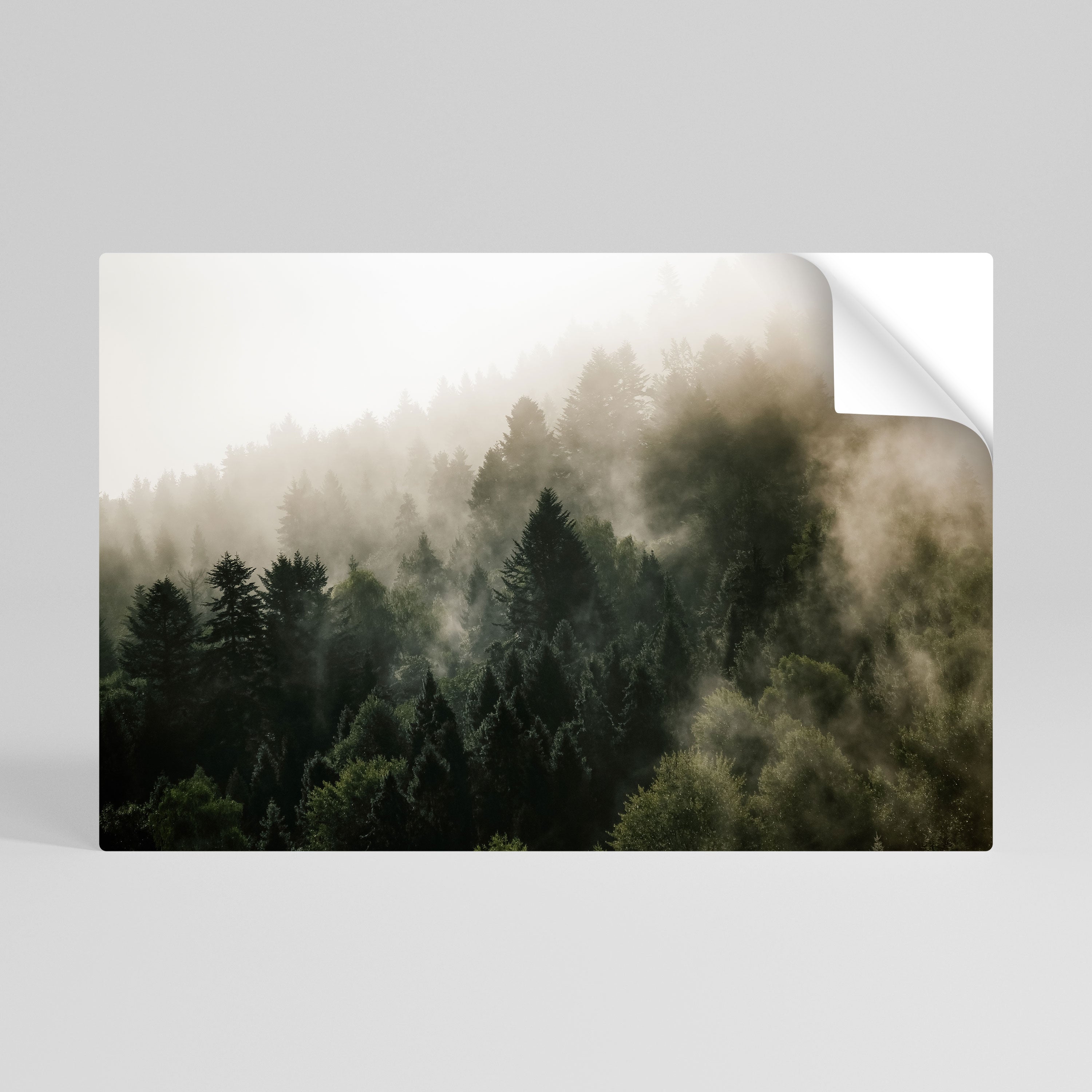 MISTY HIGHLANDS Naklejka/Plakat poziomy