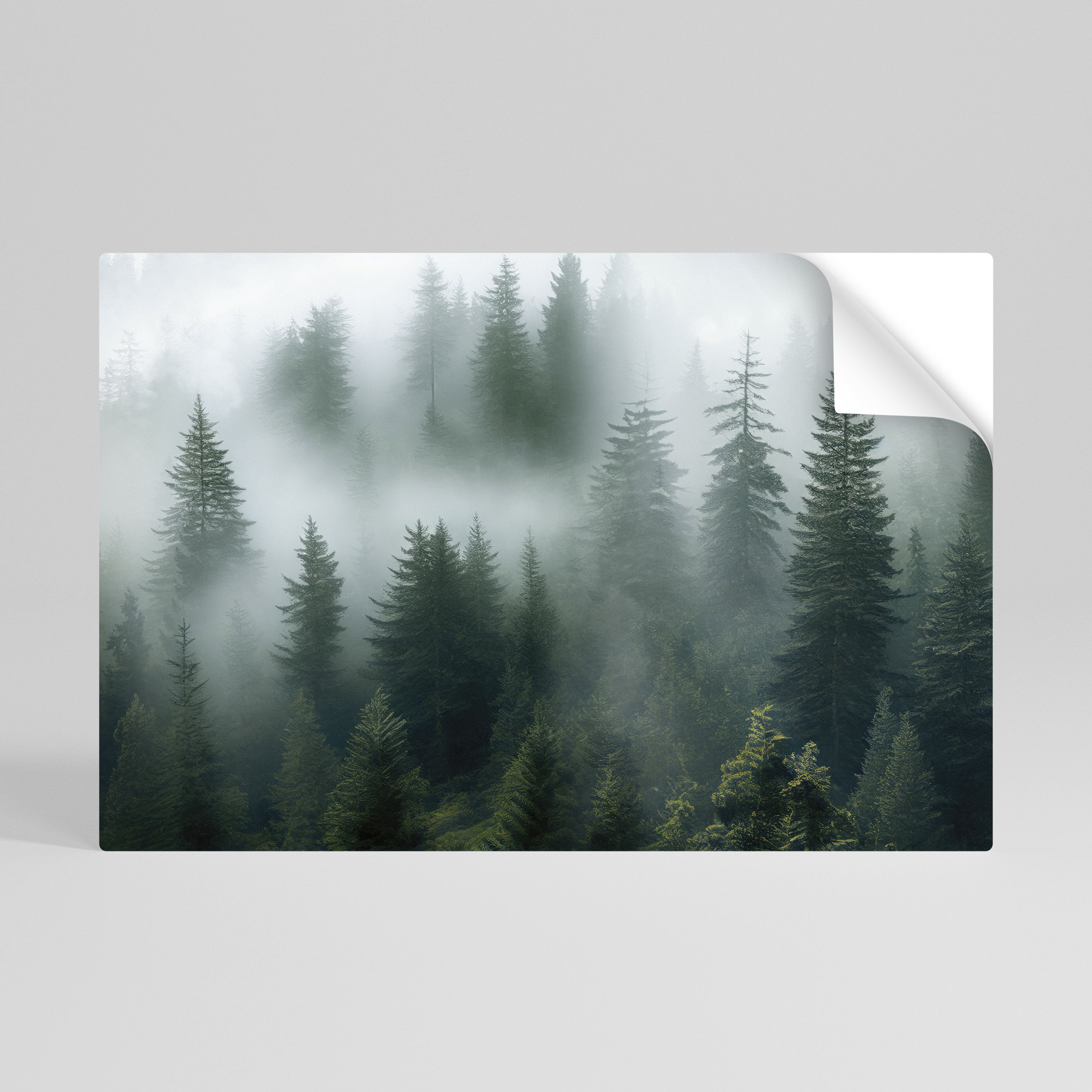FOGGY CREST Naklejka/Plakat poziomy