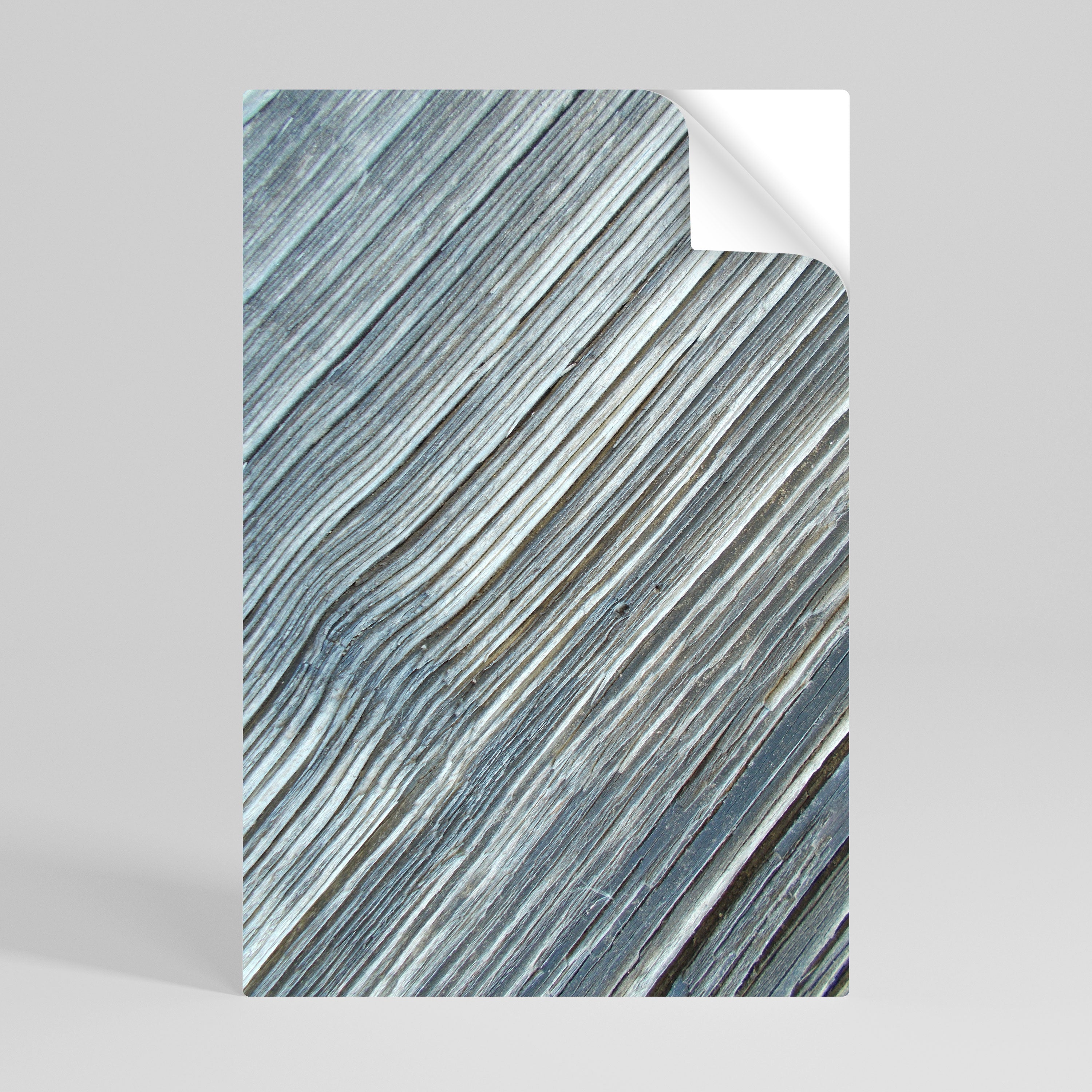 NATURE’S RIBBON RELIC Naklejka/Plakat pionowy