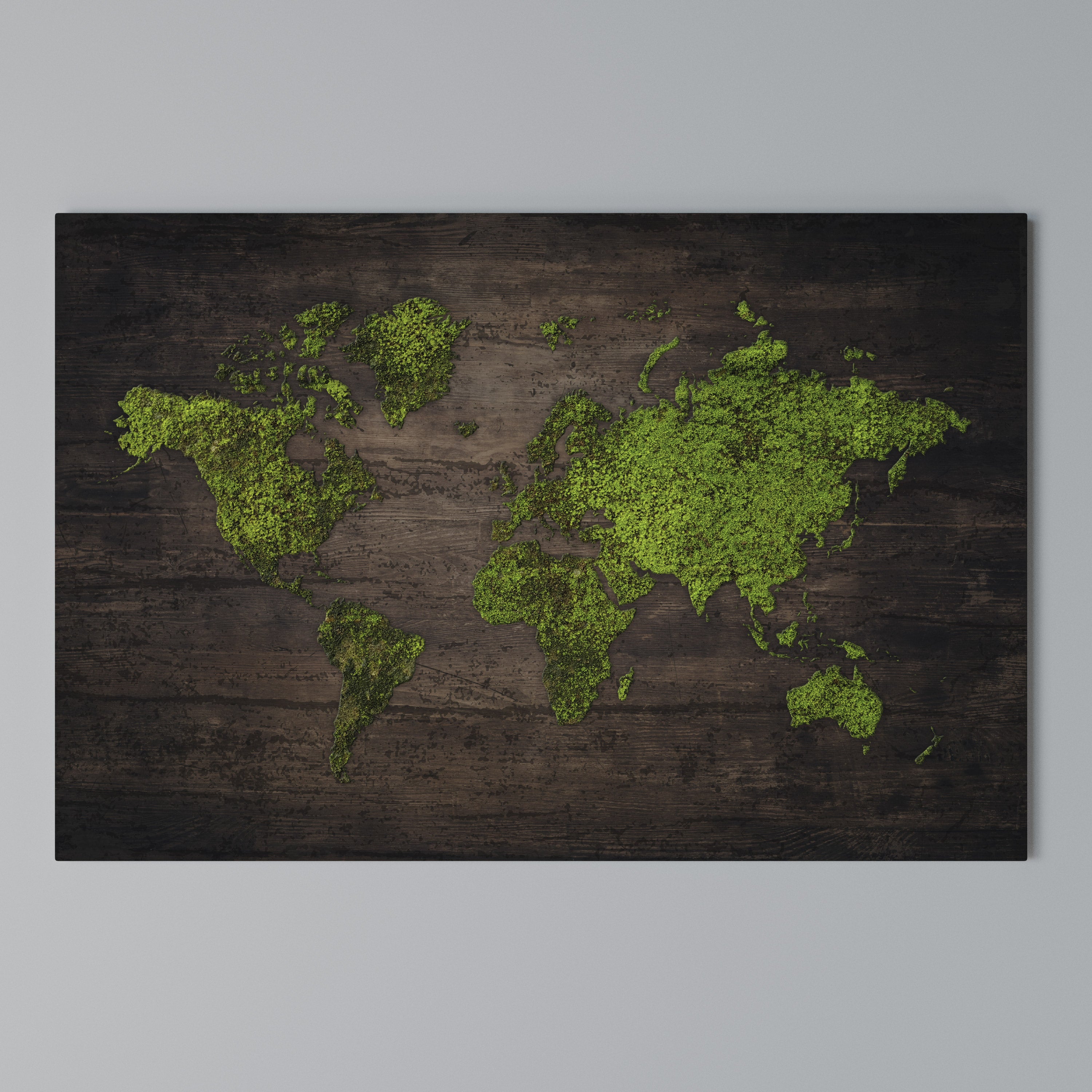 GREEN EARTH VISION Poziomy obraz na płótnie