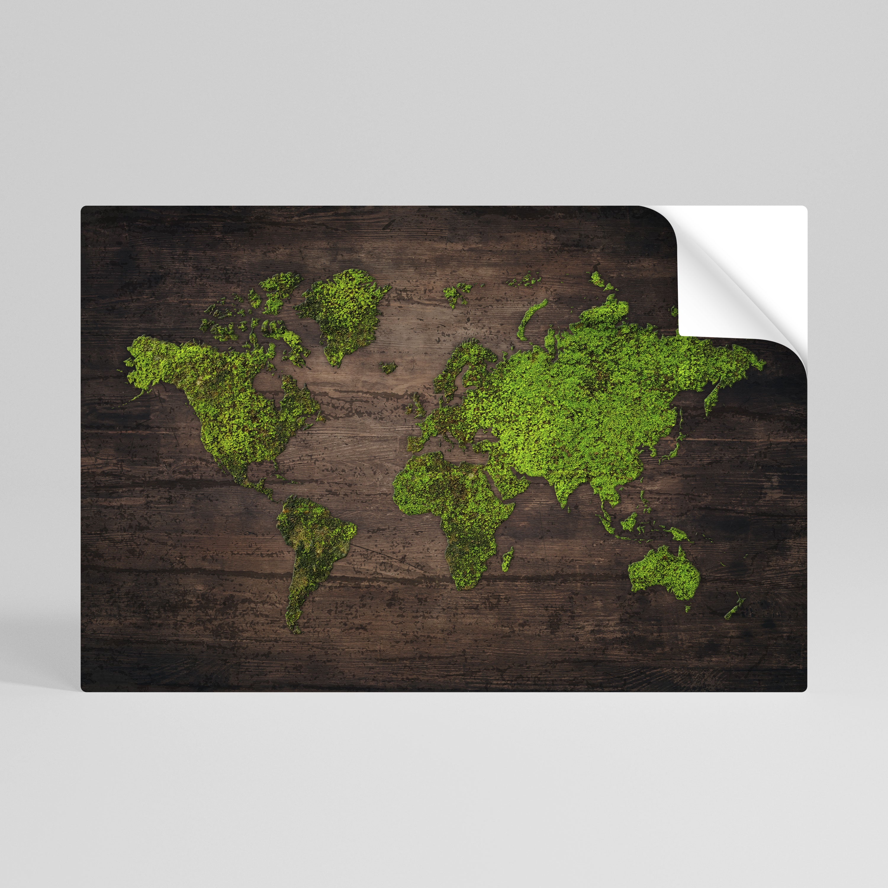 GREEN EARTH VISION Naklejka/Plakat poziomy