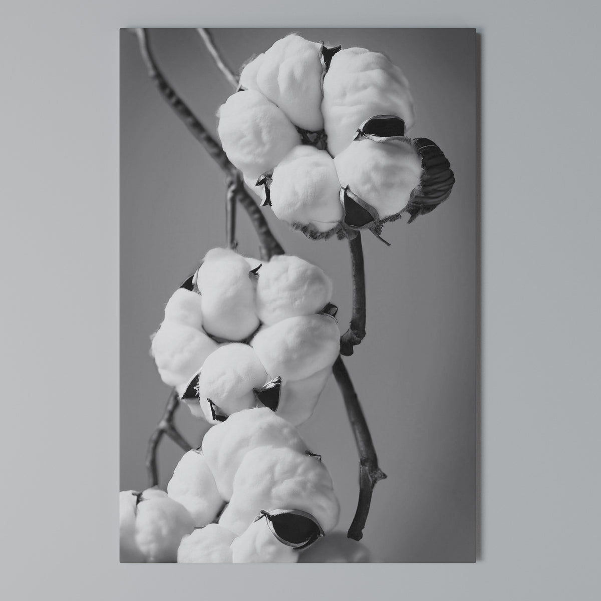 COTTON DREAMSCAPE Pionowy obraz na płótnie