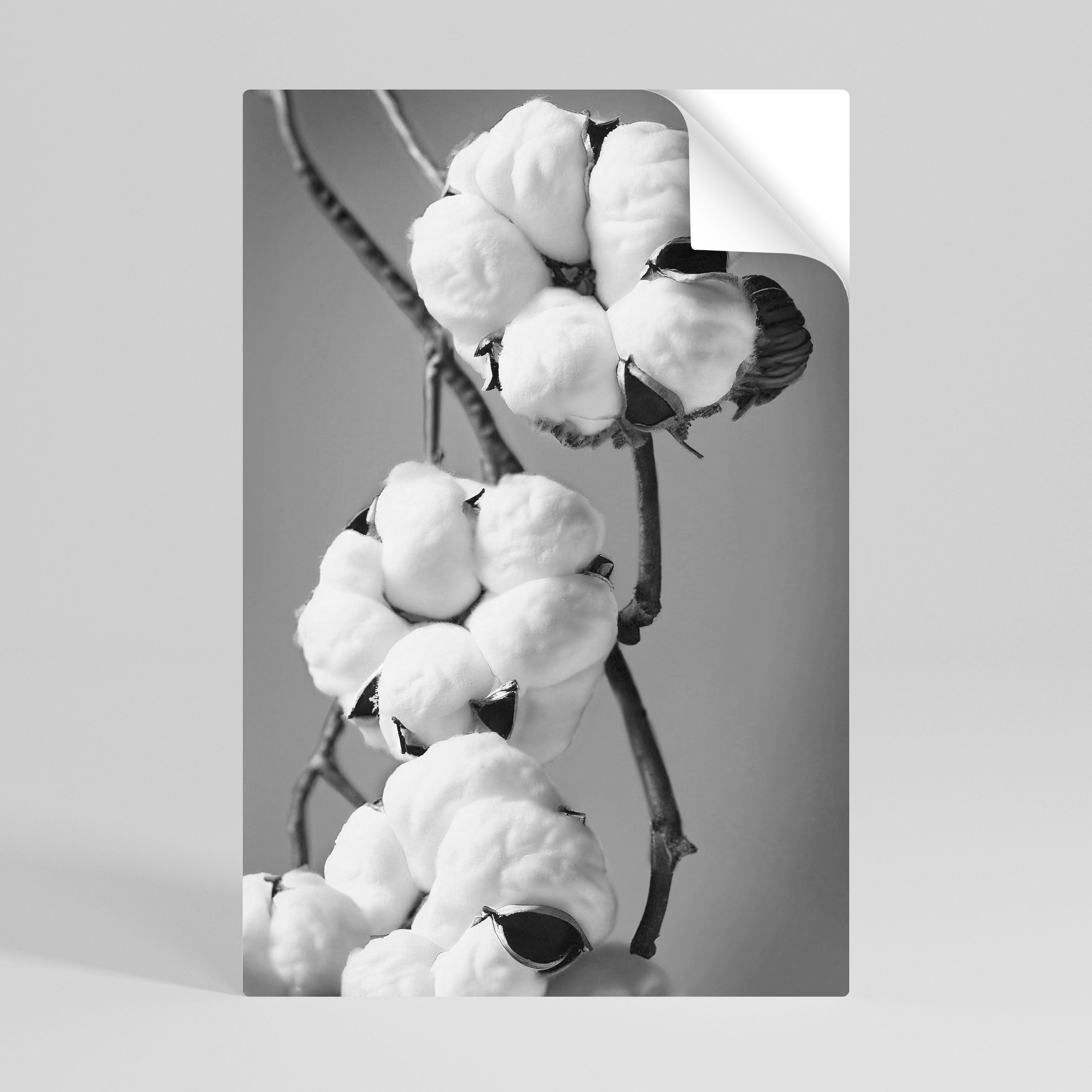 COTTON DREAMSCAPE Naklejka/Plakat pionowy