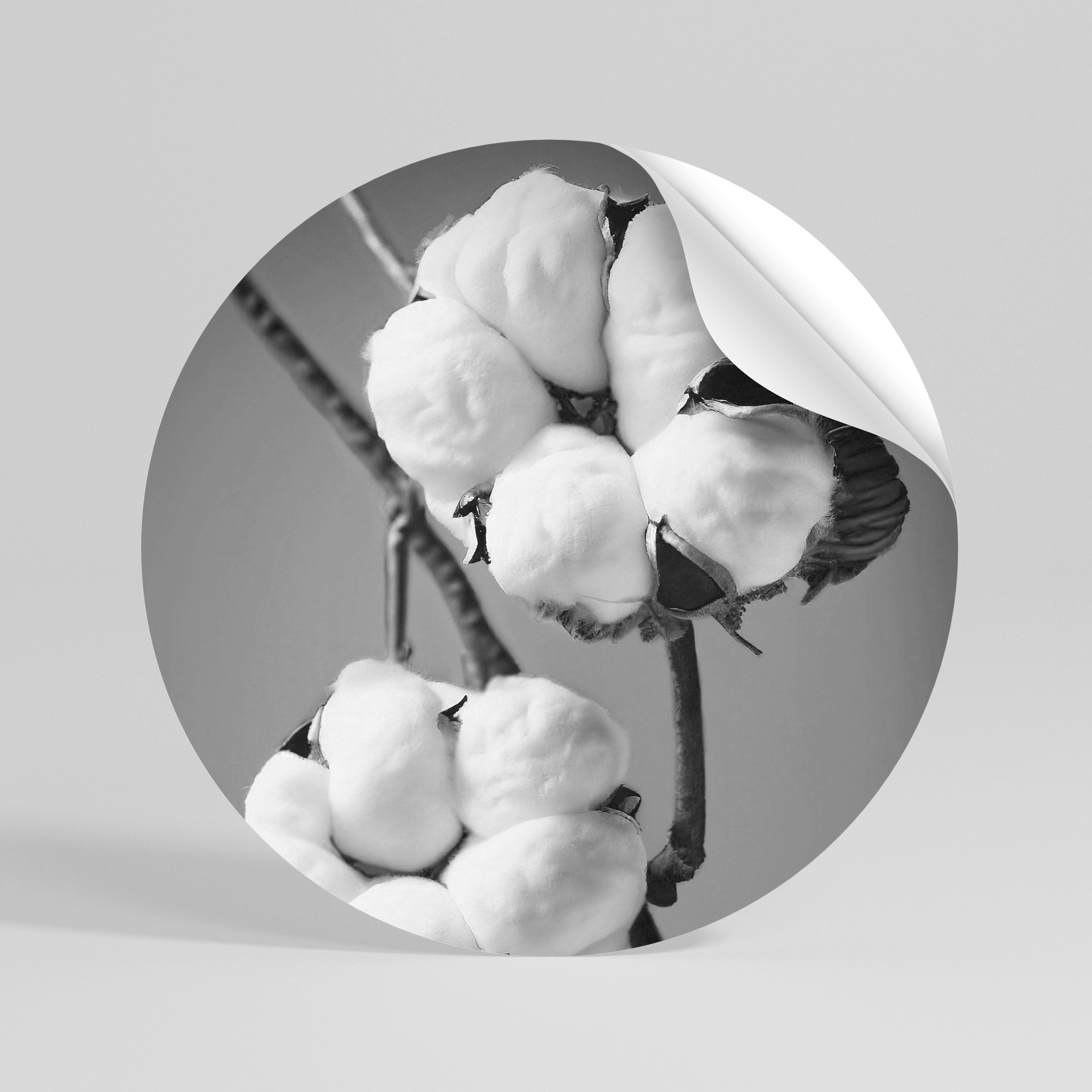 COTTON DREAMSCAPE Naklejka - okrągła