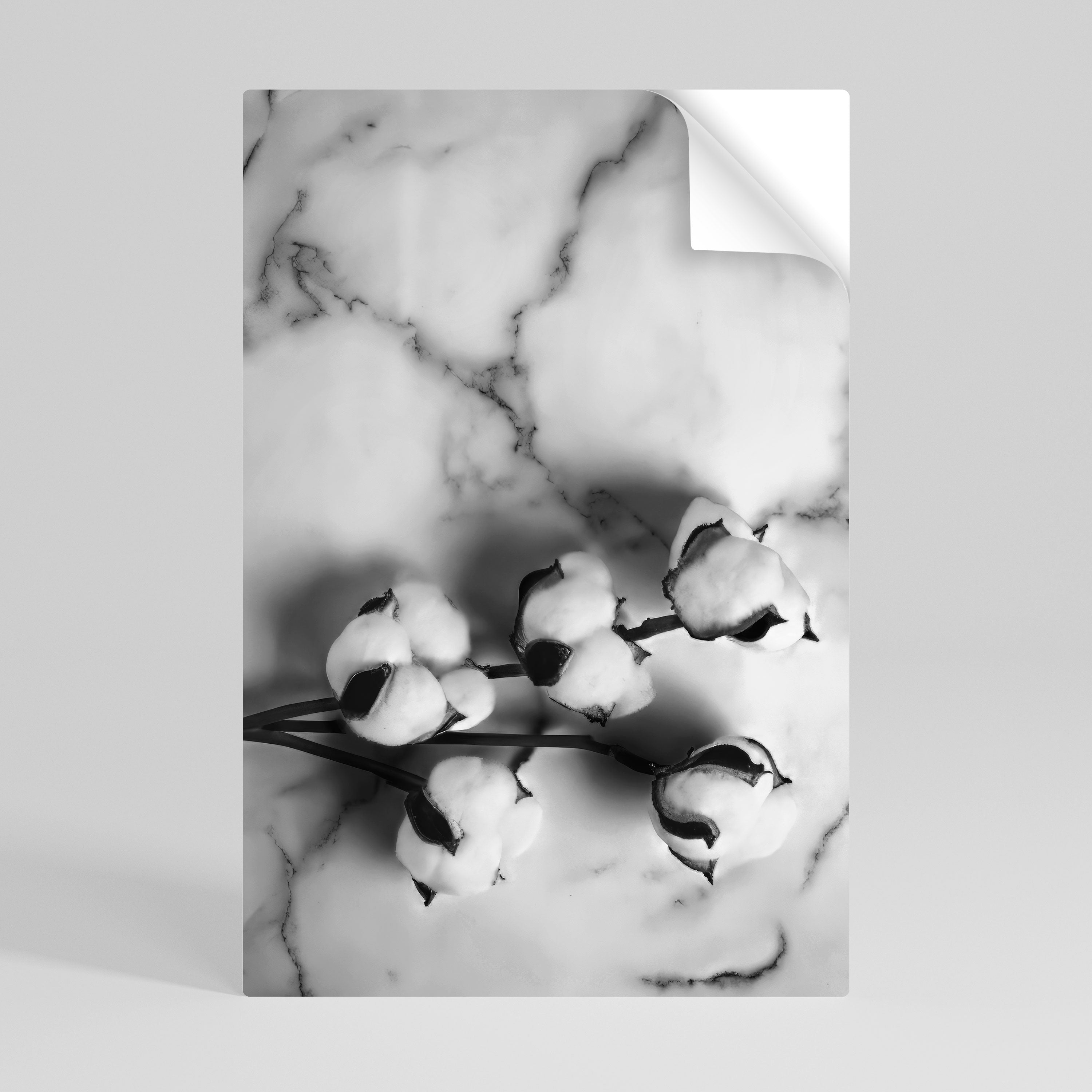 MONOCHROME COTTON DREAMS Naklejka/Plakat pionowy