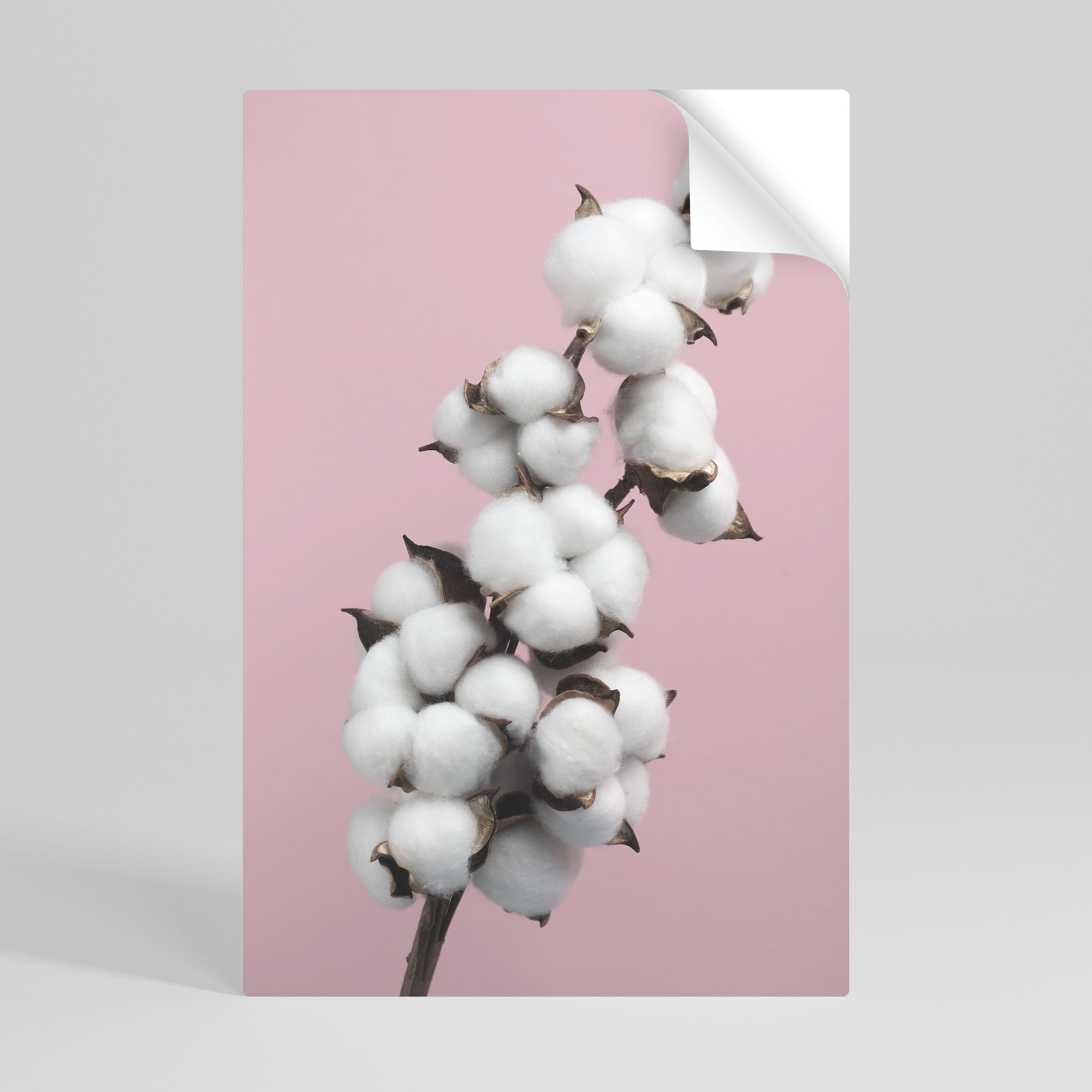 COTTON CLOUDS WHISPER Naklejka/Plakat pionowy
