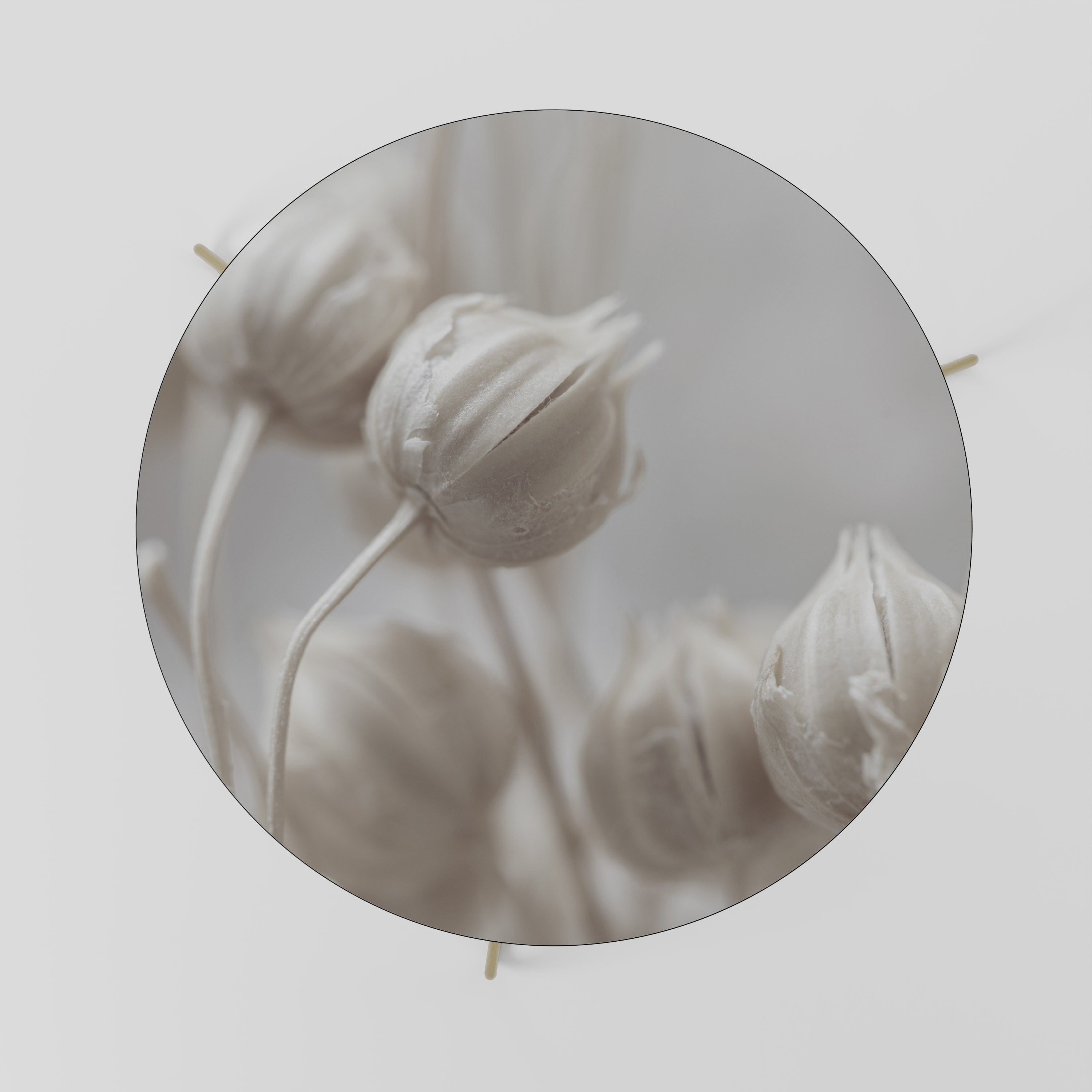 MYSTICAL BOTANICAL BLUSH Stolik kawowy duży