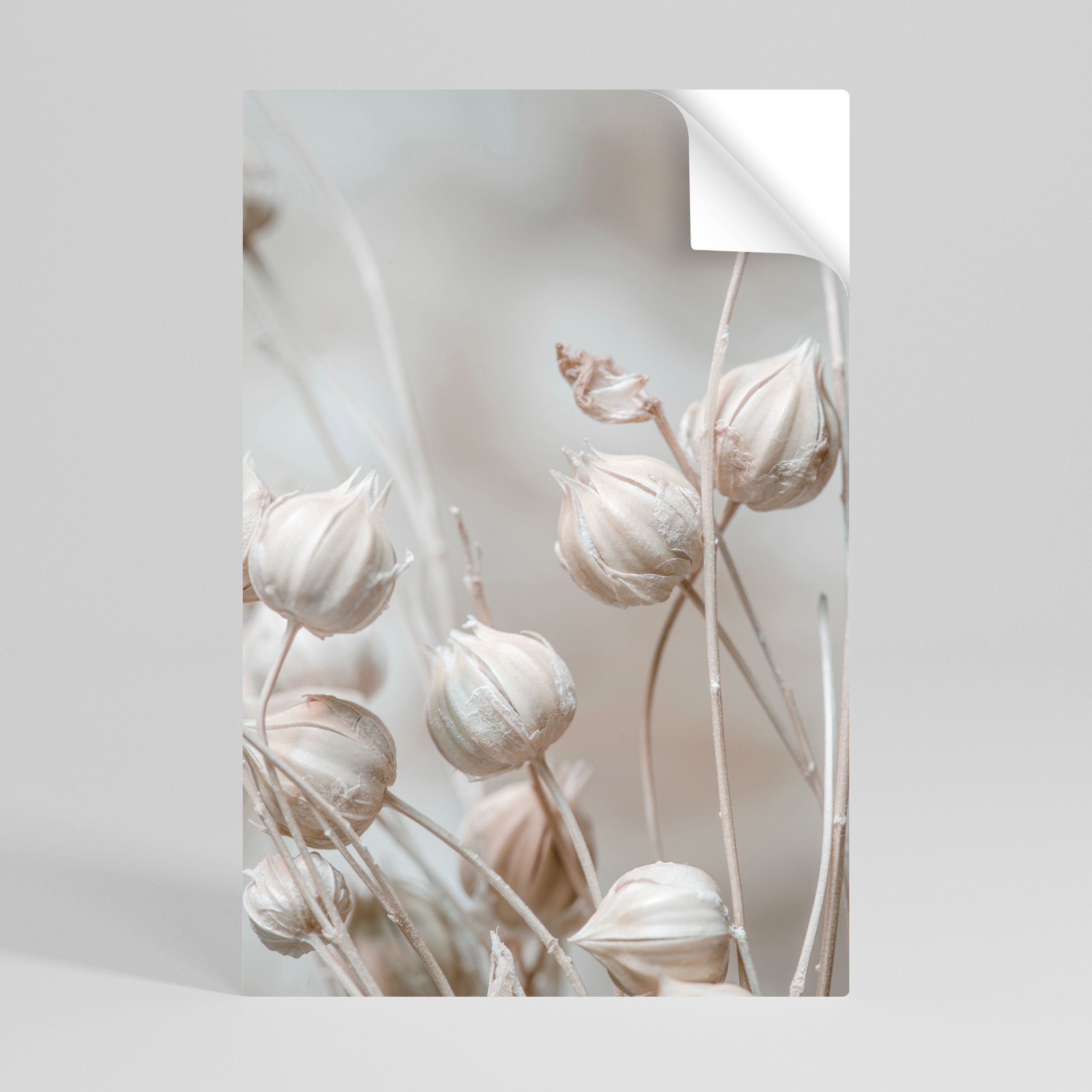 TRANQUIL BLOOMING VISION Naklejka/Plakat pionowy