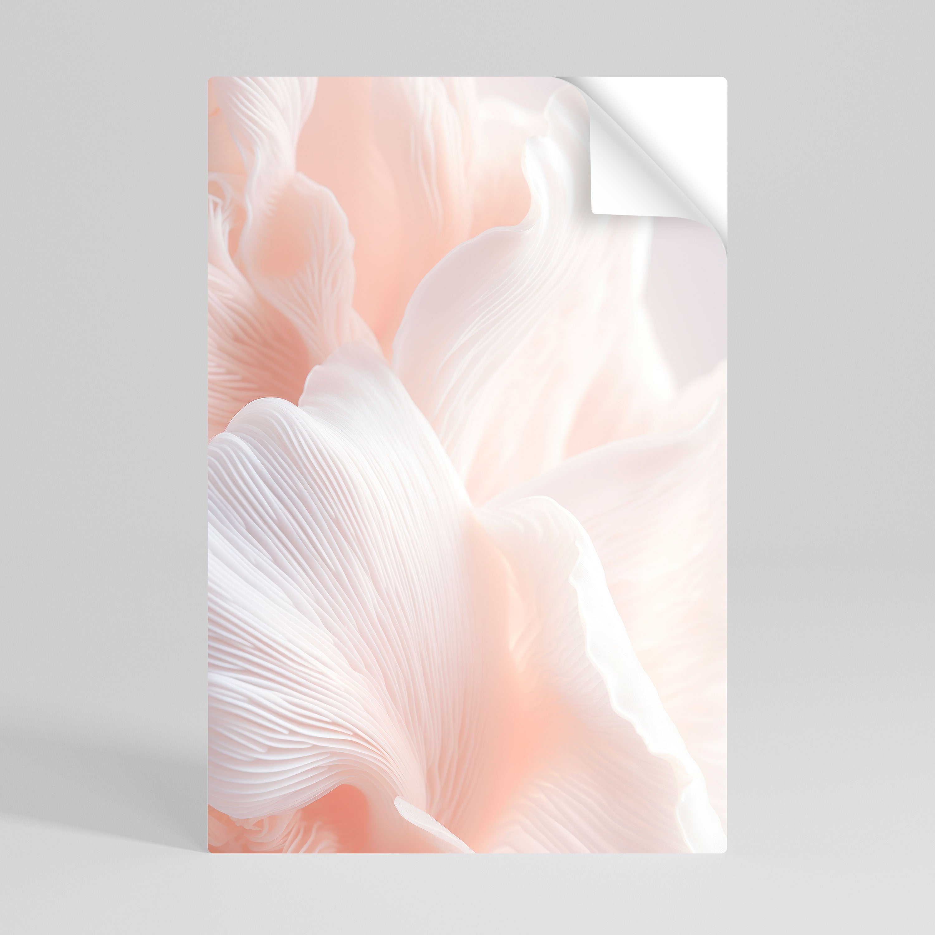DELICATE PINK HARMONY Naklejka/Plakat pionowy