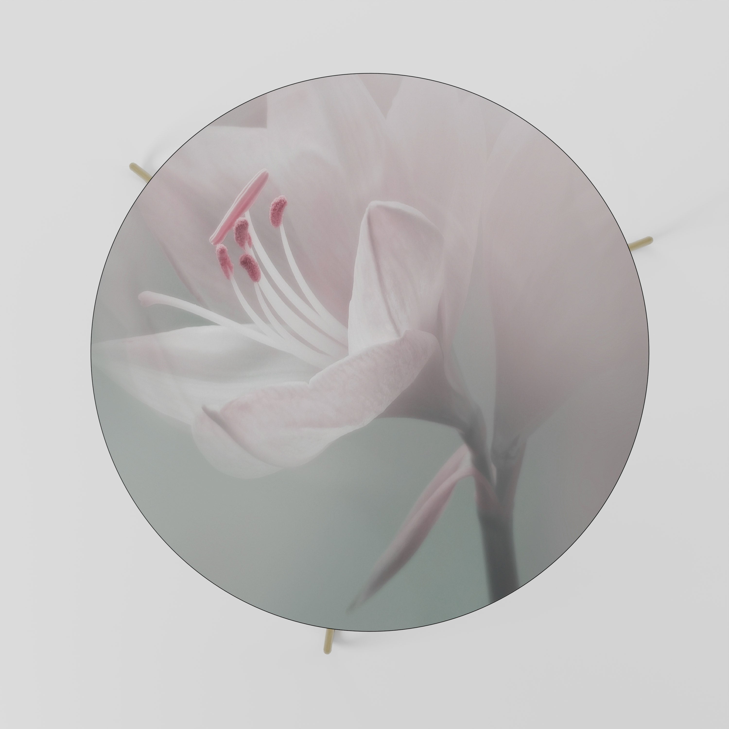 GENTLE LILY Stolik kawowy duży