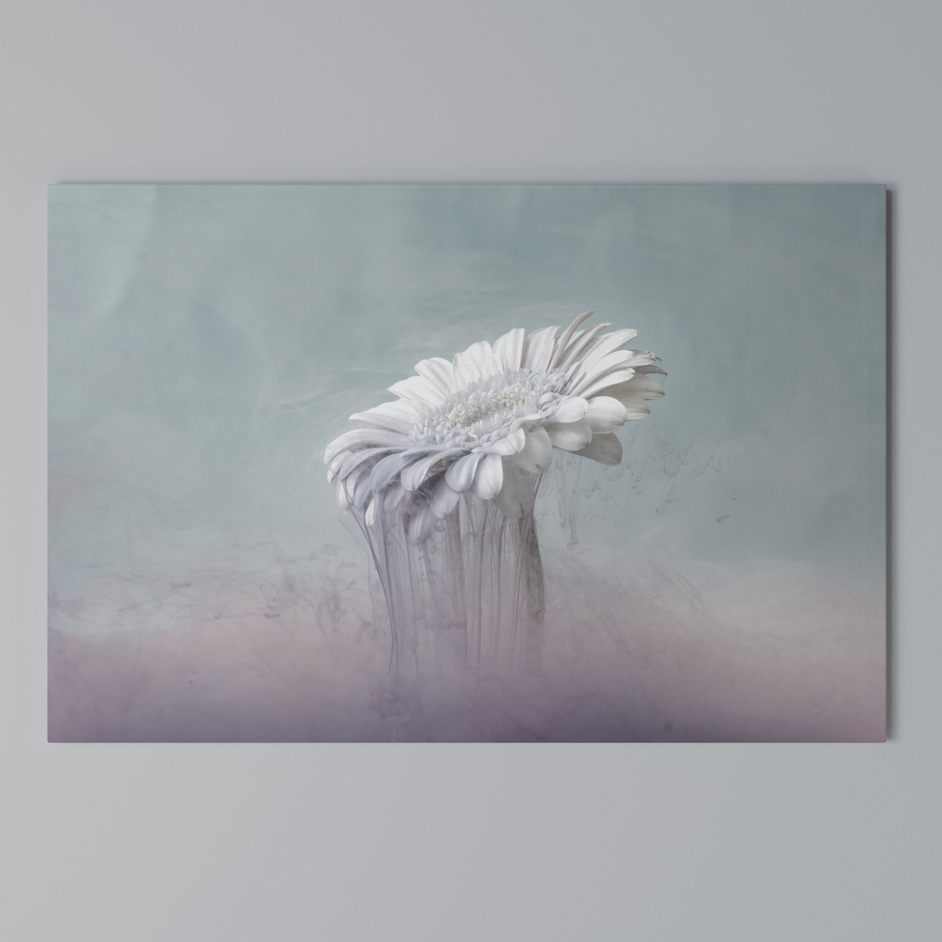 MELTING GERBERA Poziomy obraz na płótnie