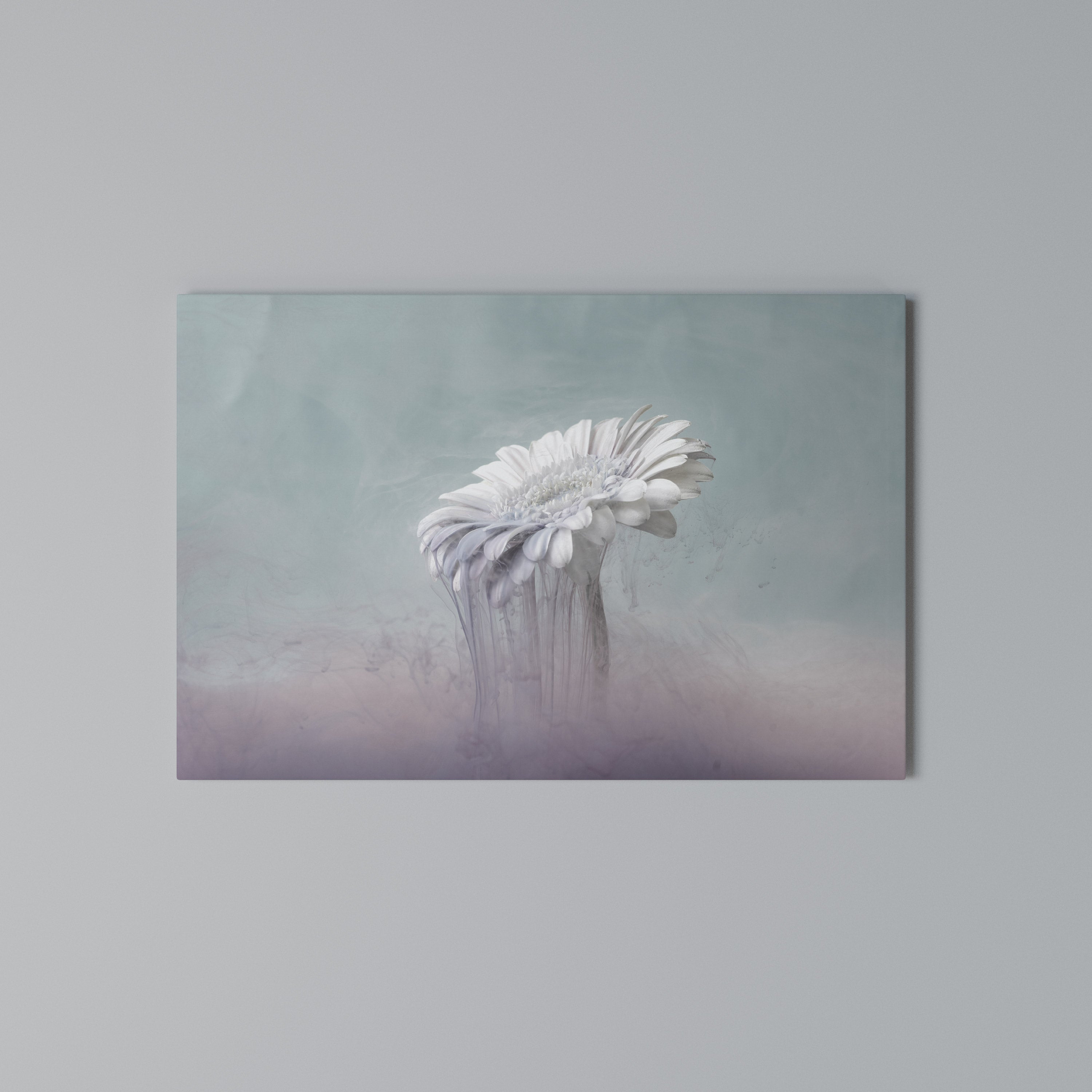 MELTING GERBERA Poziomy obraz na płótnie