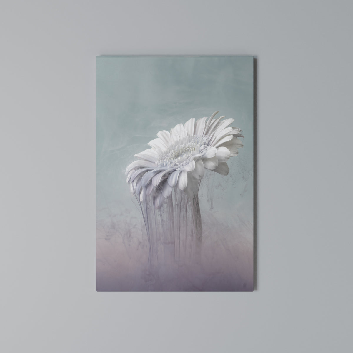 MELTING GERBERA Pionowy obraz na płótnie