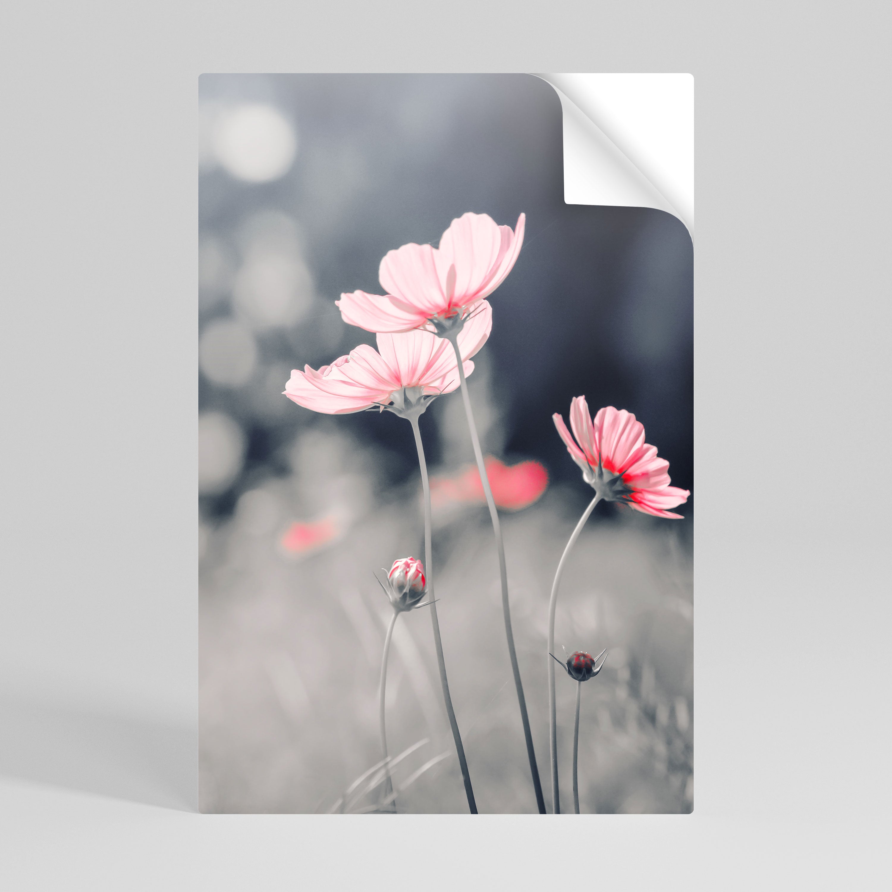 SUBTLE PETAL DANCE Naklejka/Plakat pionowy