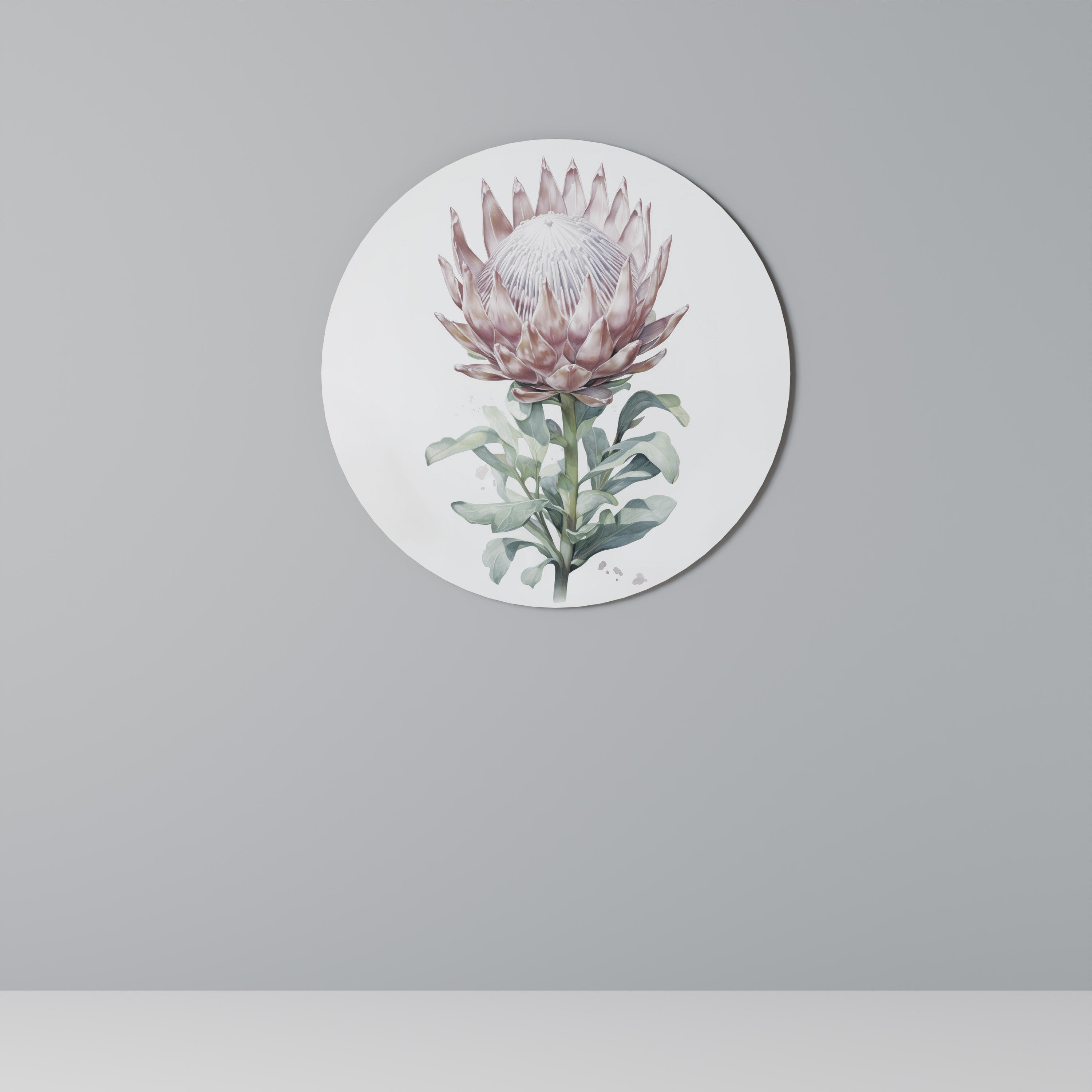 ROYAL PROTEA Obraz okrągły