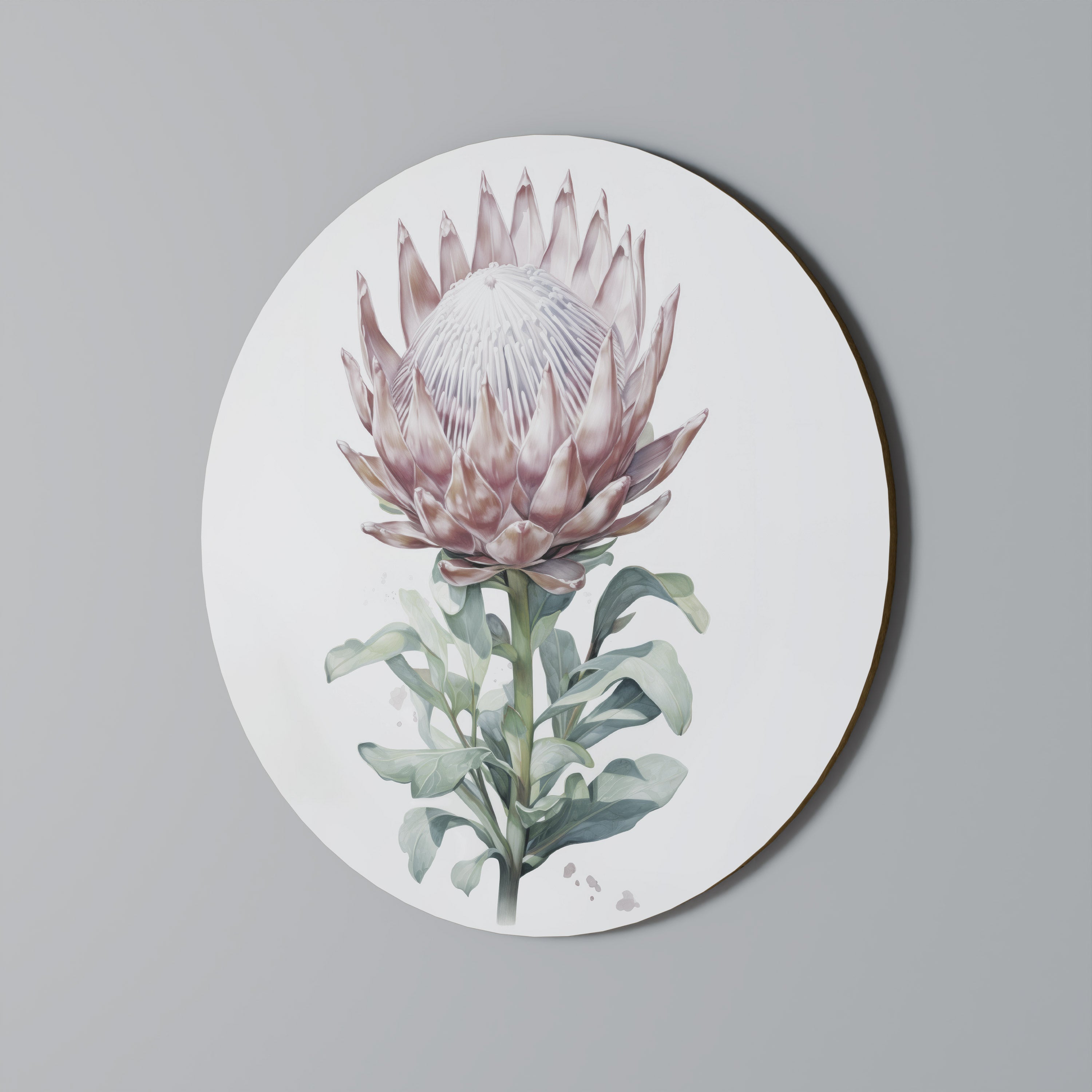 ROYAL PROTEA Obraz okrągły