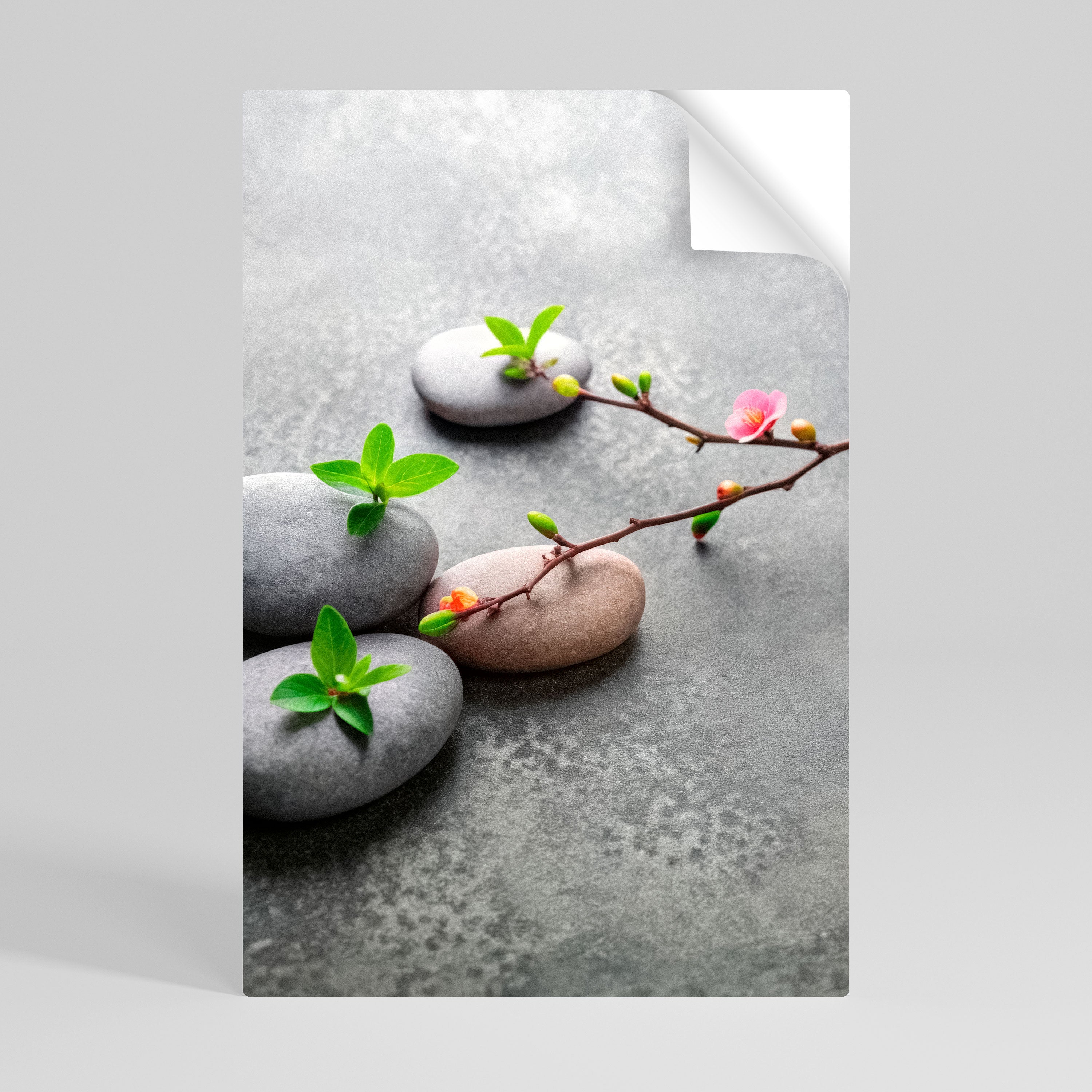 STONES AND BLOSSOMS Naklejka/Plakat pionowy