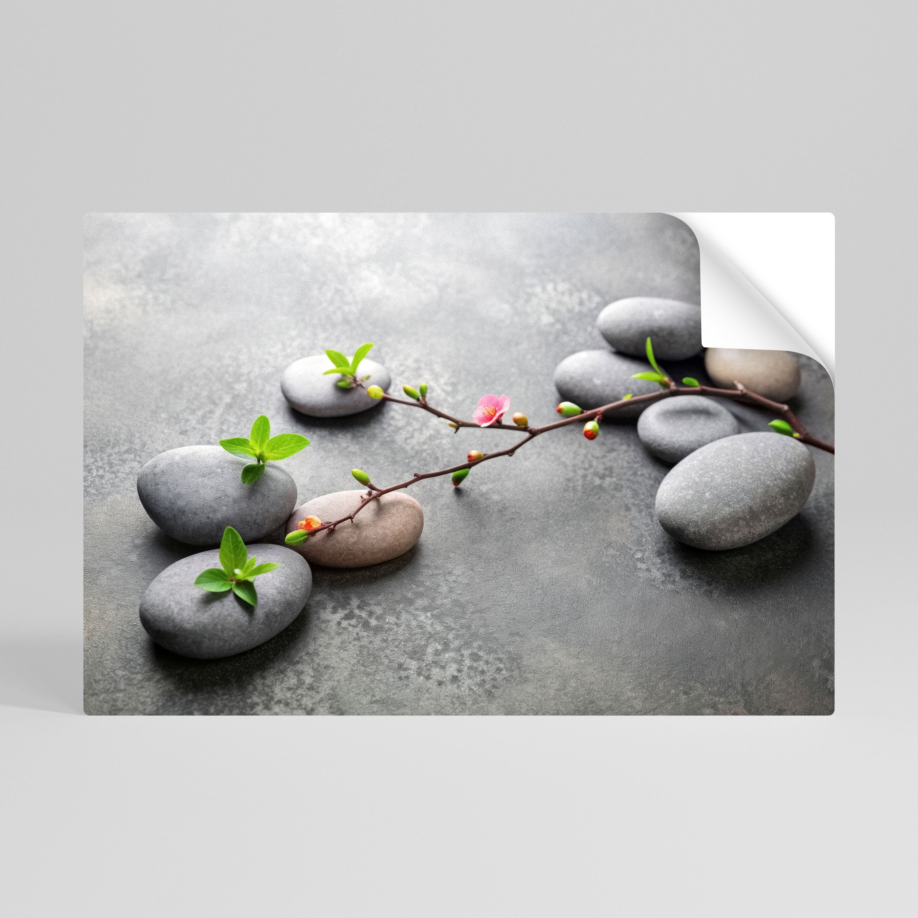 STONES AND BLOSSOMS Naklejka/Plakat poziomy
