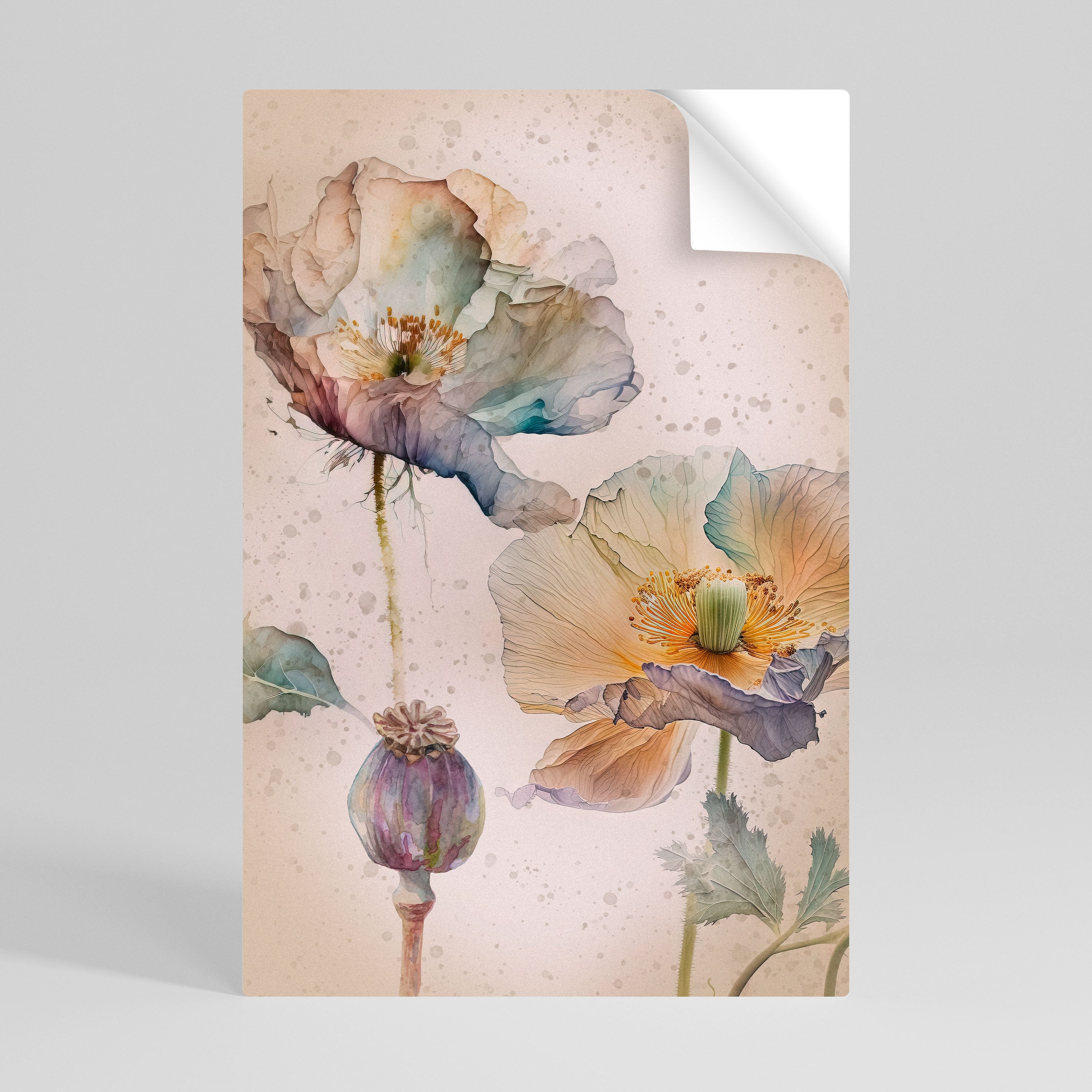 SOFTEN POPPY Naklejka/Plakat pionowy