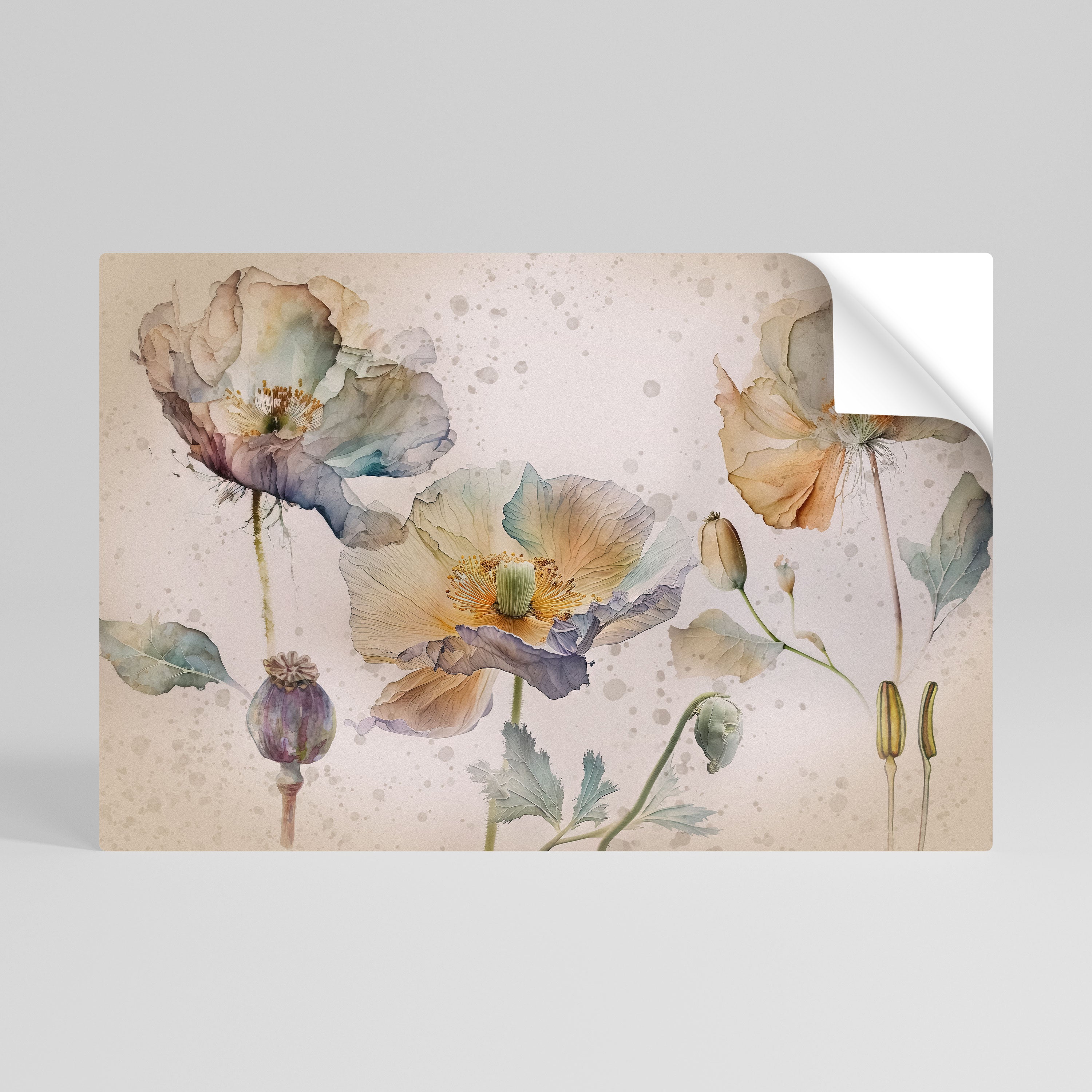 SOFTEN POPPY Naklejka/Plakat poziomy