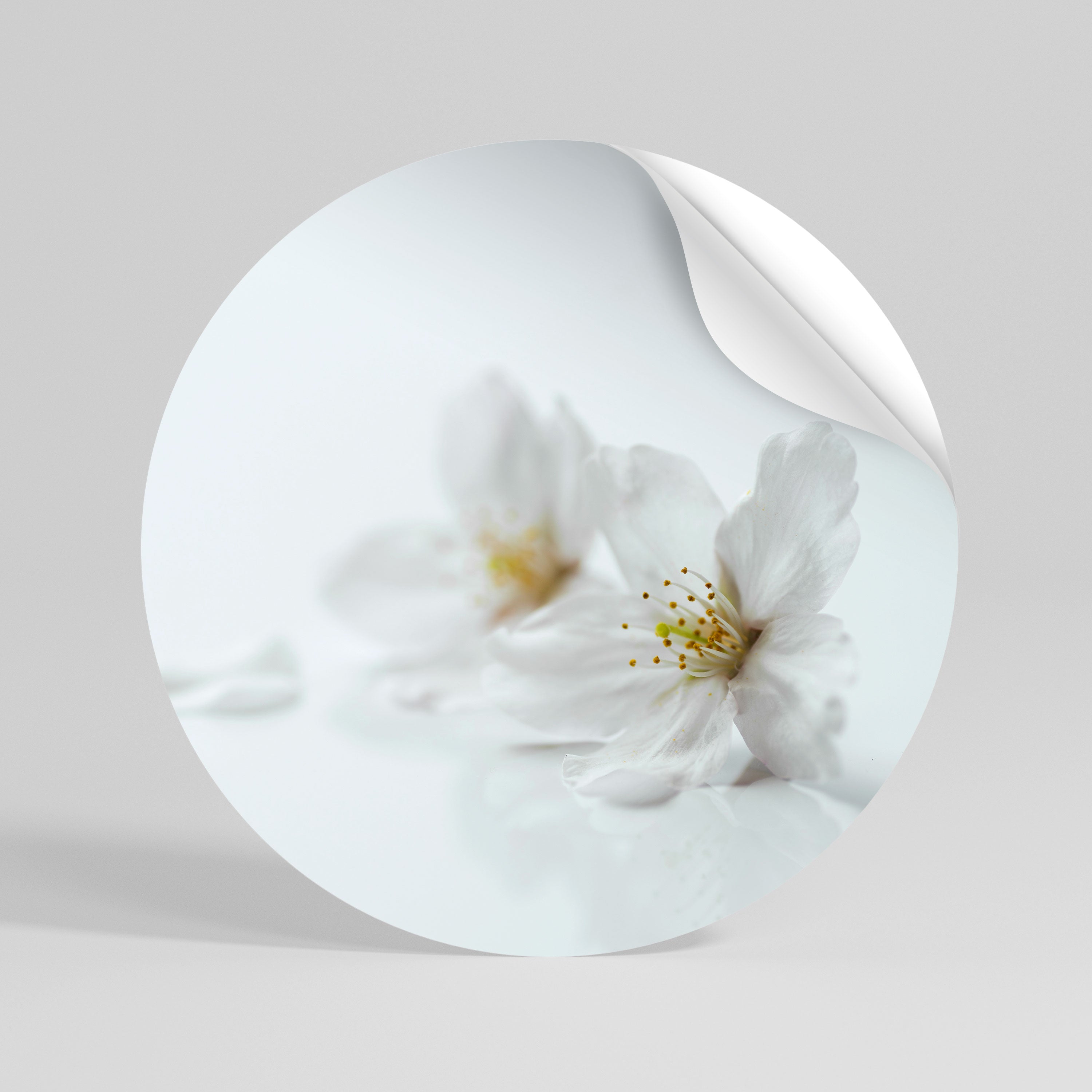 FLEETING WHITE PETALS Naklejka - okrągła