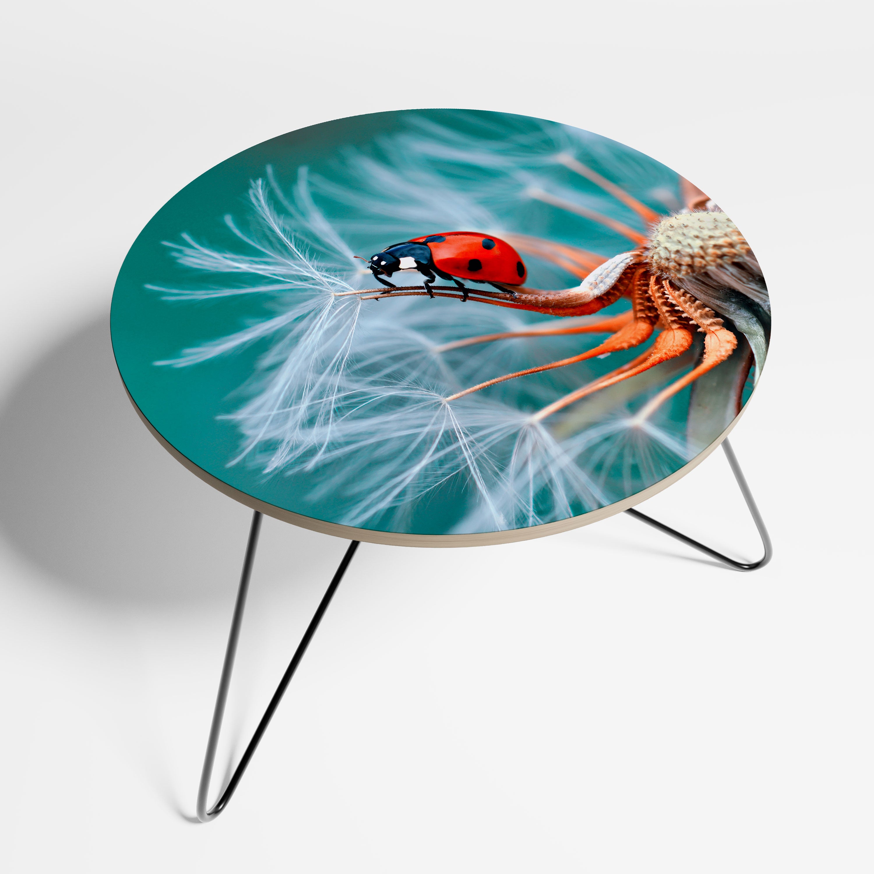 LADYBUG BALANCE Stolik kawowy duży