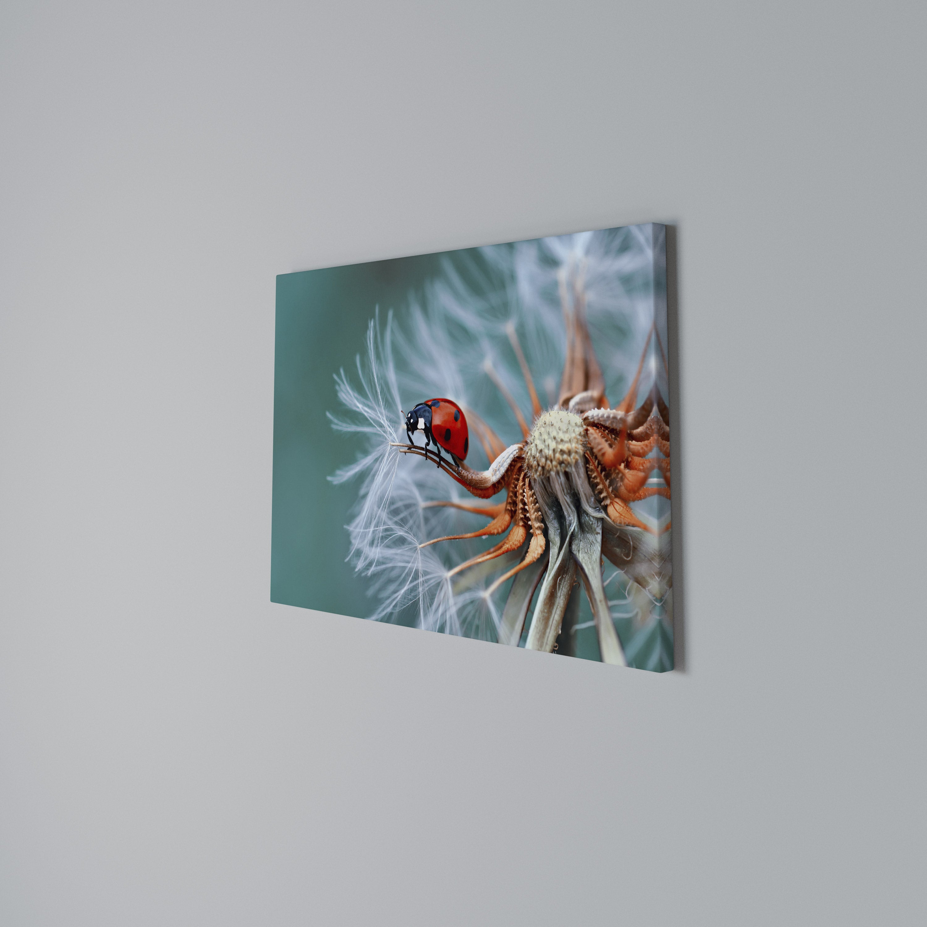 LADYBUG BALANCE Poziomy obraz na płótnie