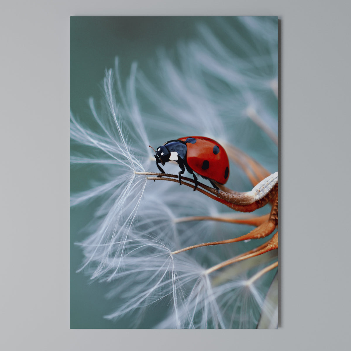 LADYBUG BALANCE Pionowy obraz na płótnie