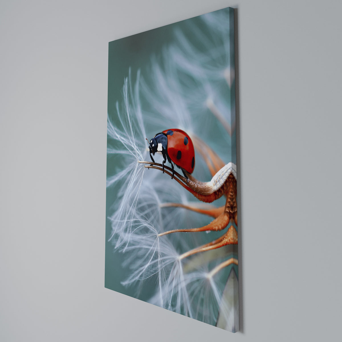 LADYBUG BALANCE Pionowy obraz na płótnie