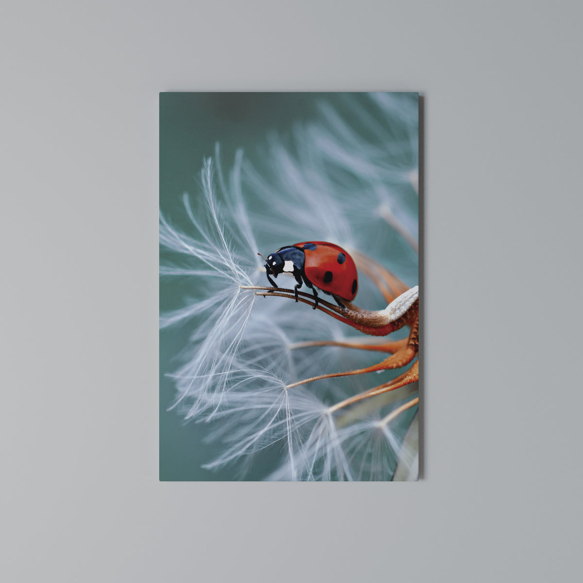 LADYBUG BALANCE Pionowy obraz na płótnie
