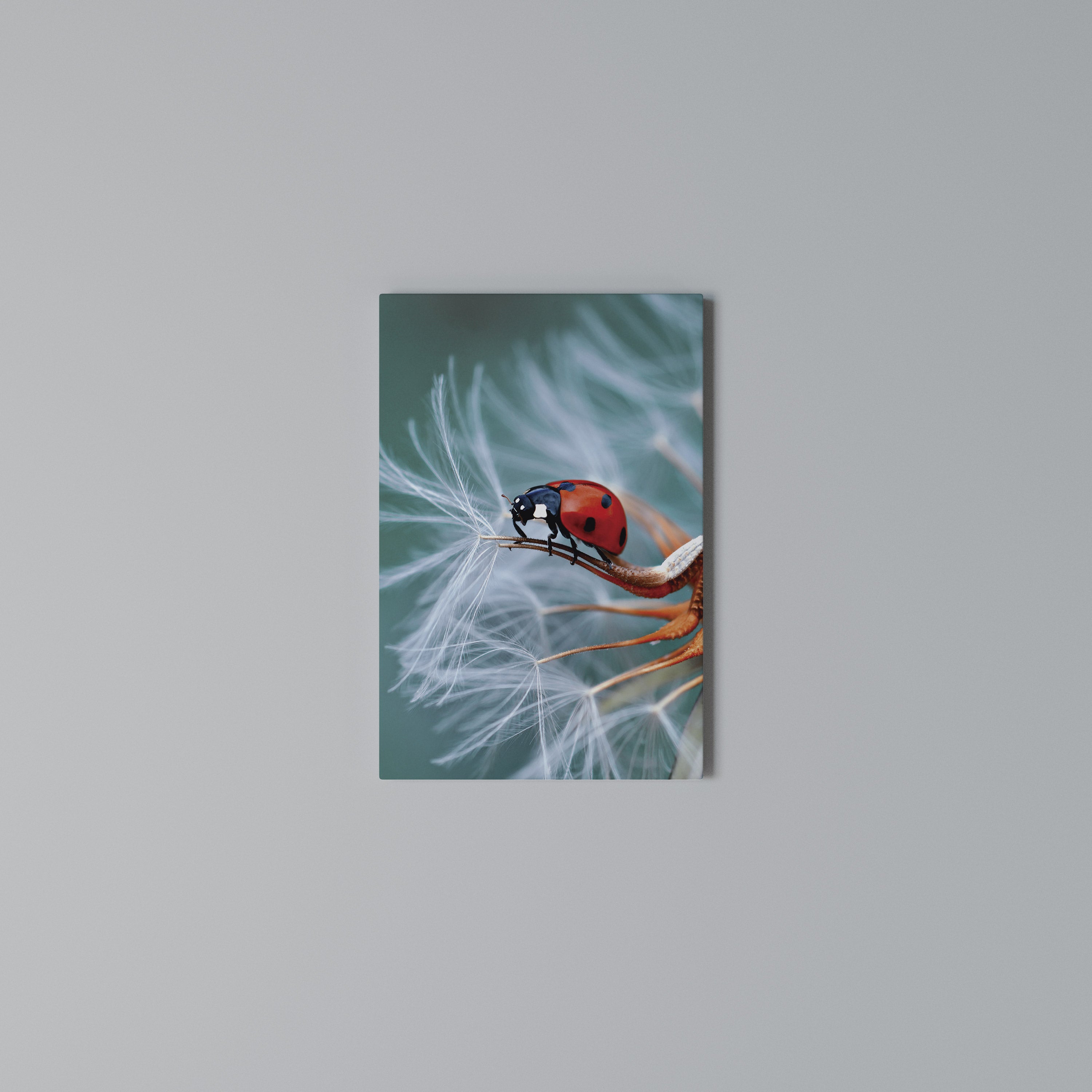 LADYBUG BALANCE Pionowy obraz na płótnie