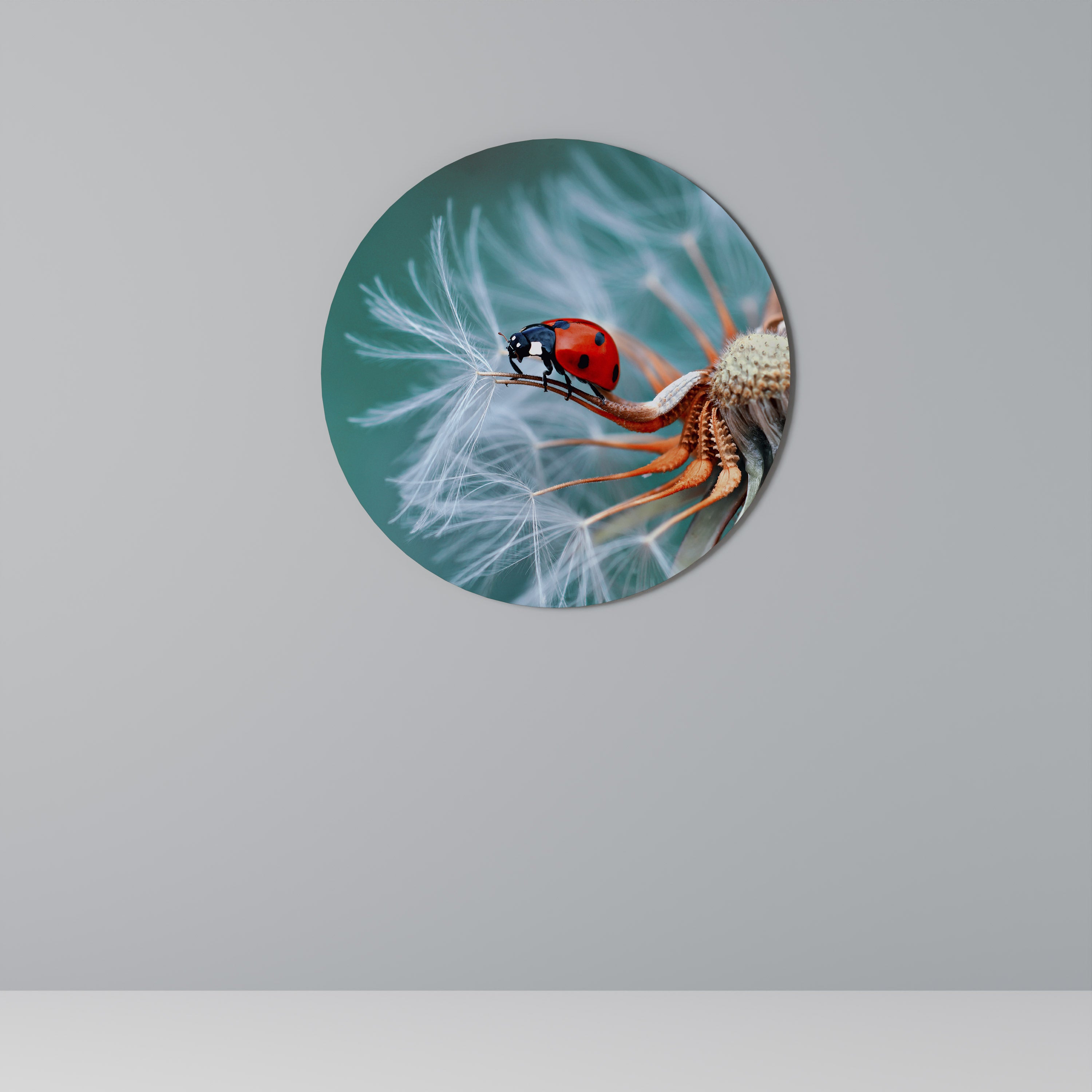 LADYBUG BALANCE Obraz okrągły
