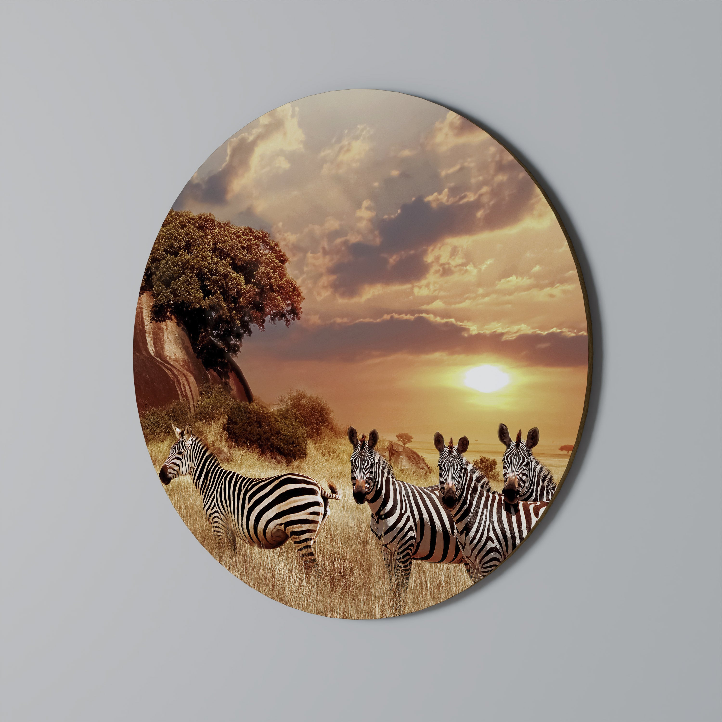 ZEBRA SUNSET SERENADE Obraz okrągły